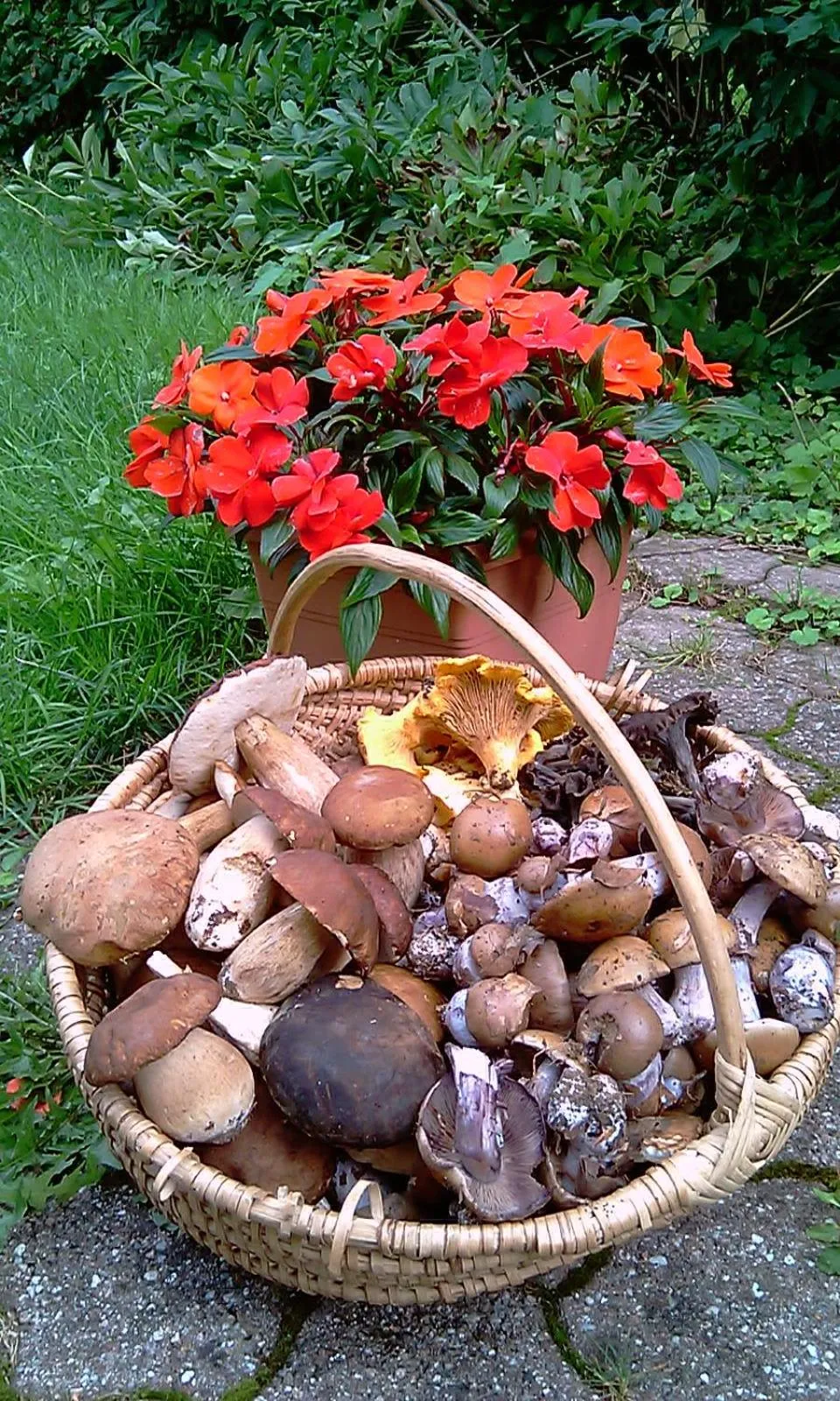 Restaurant/places to eat in Lodge Hôtel de Sommedieue Verdun