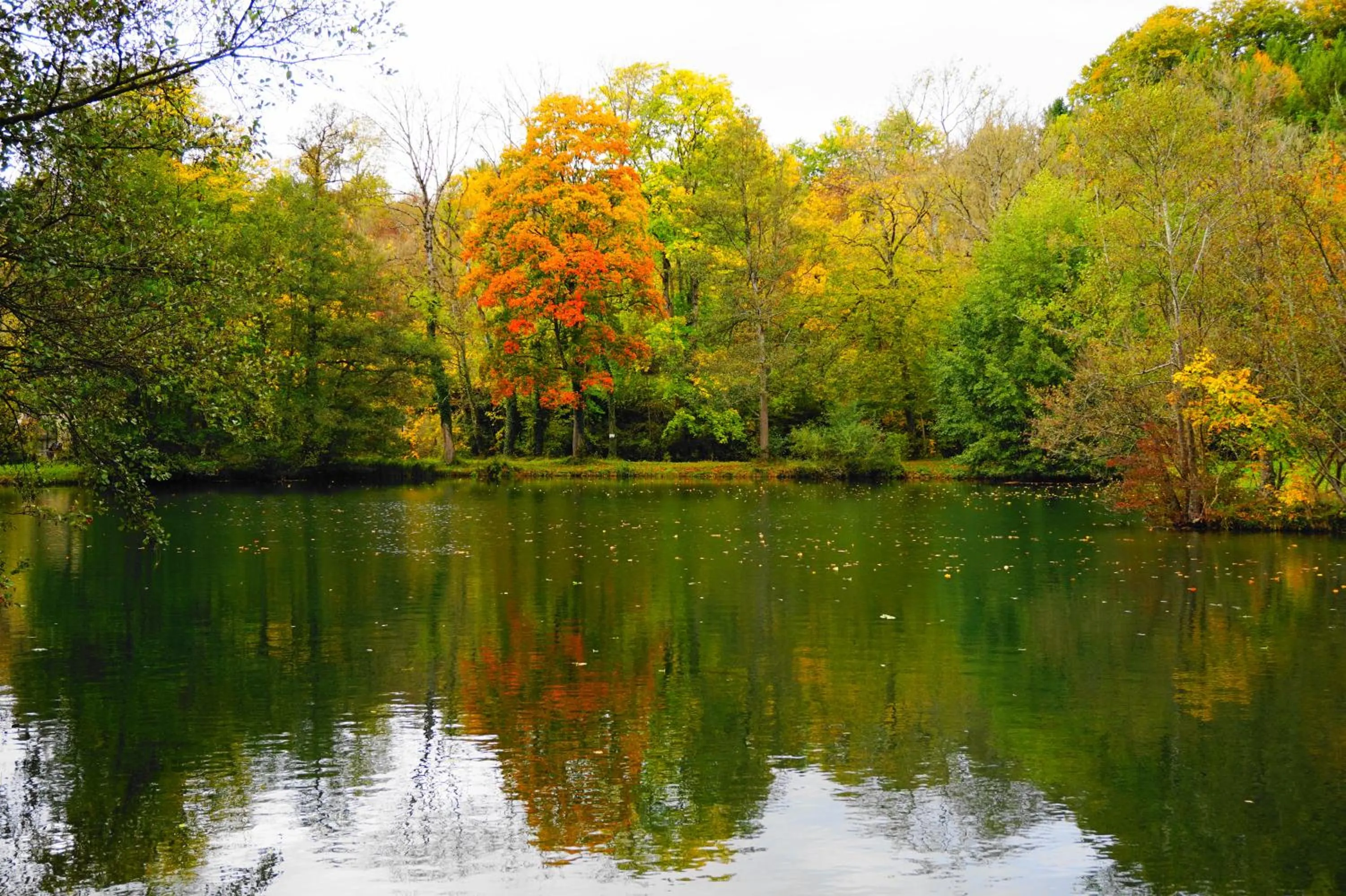 Lake view in Lodge Hôtel de Sommedieue Verdun