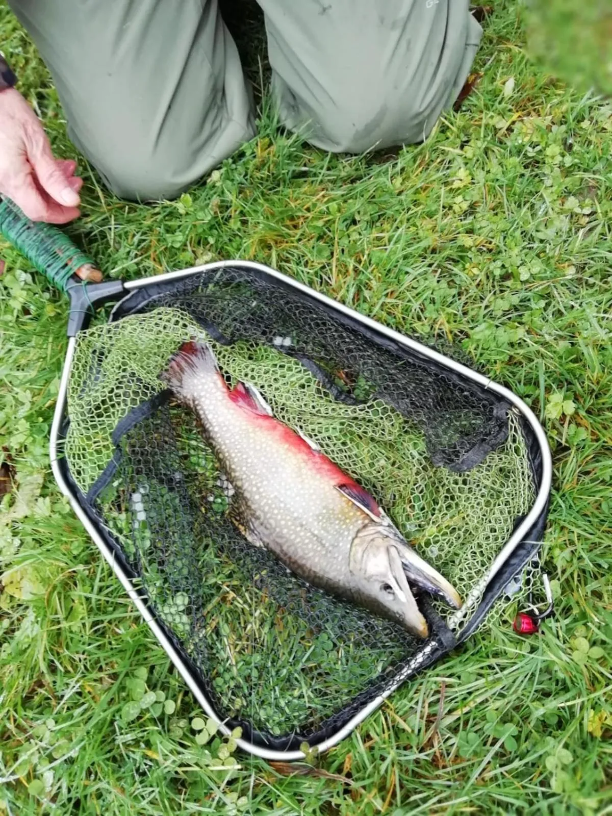 Activities in Lodge Hôtel de Sommedieue Verdun