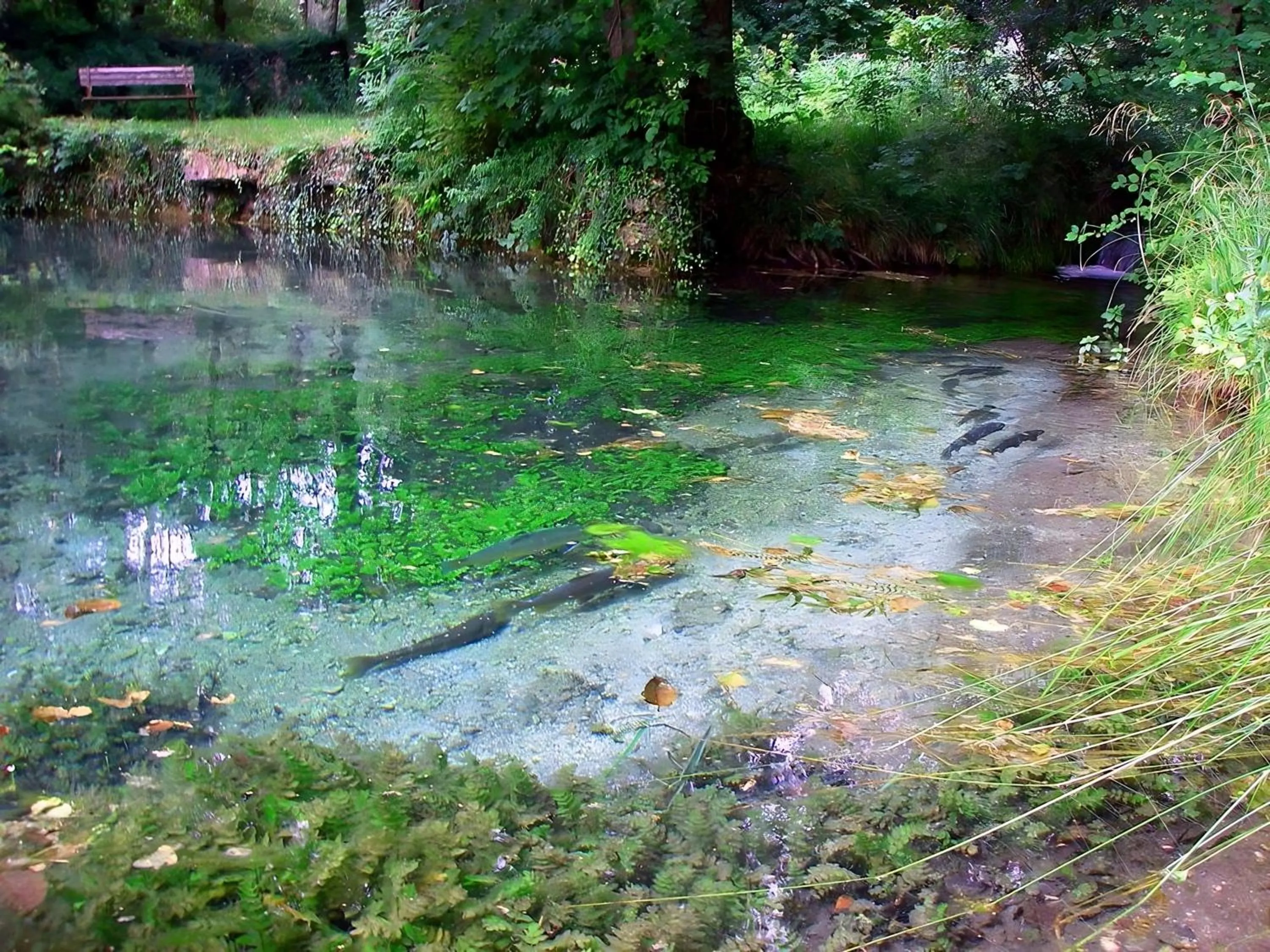 Fishing in Lodge Hôtel de Sommedieue Verdun