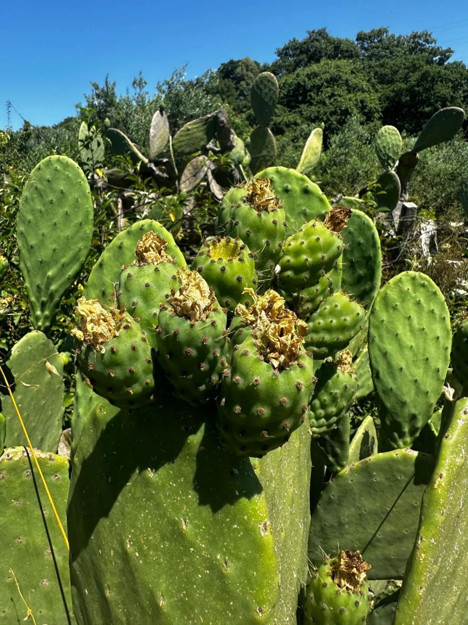 Nearby landmark in Via Zara