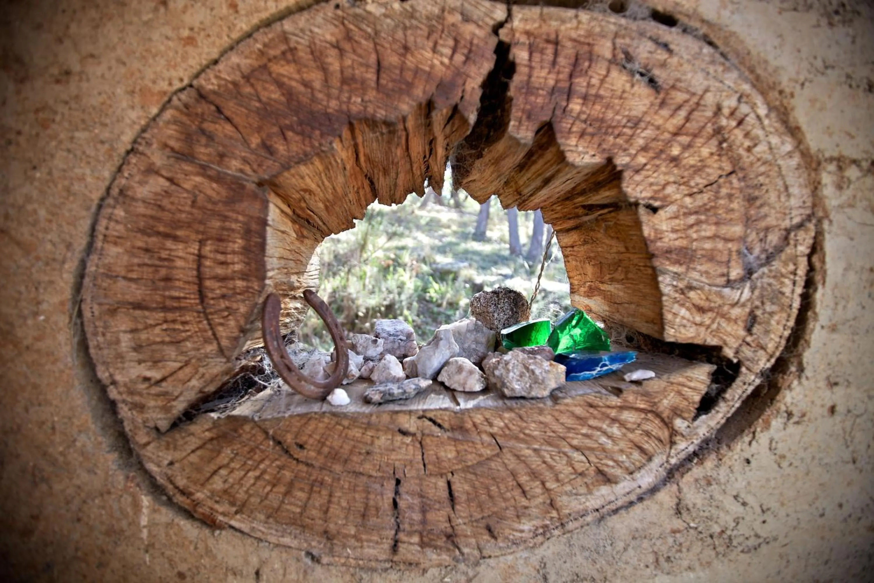 Property building in Snowy Wilderness