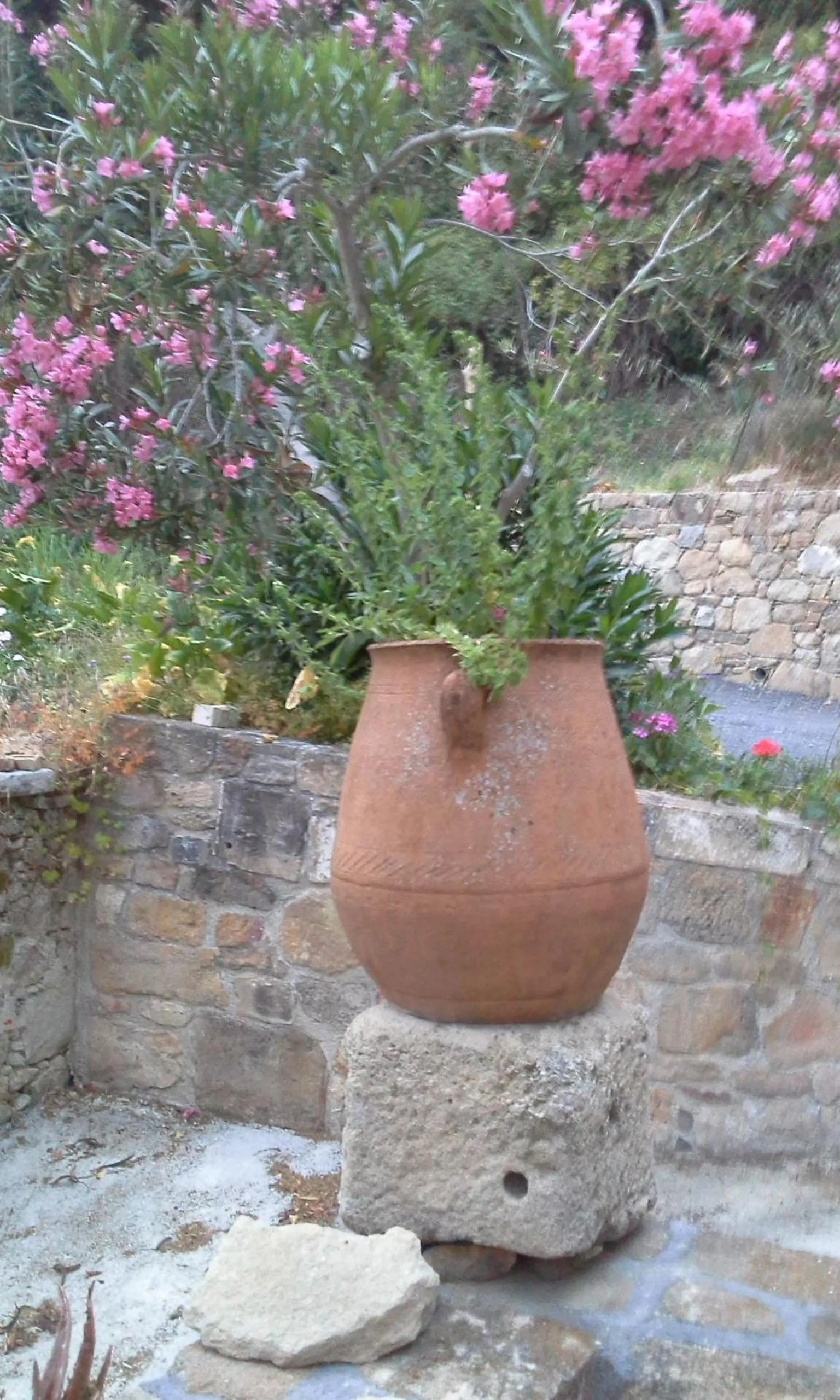 Patio in Traditional House Koukounara