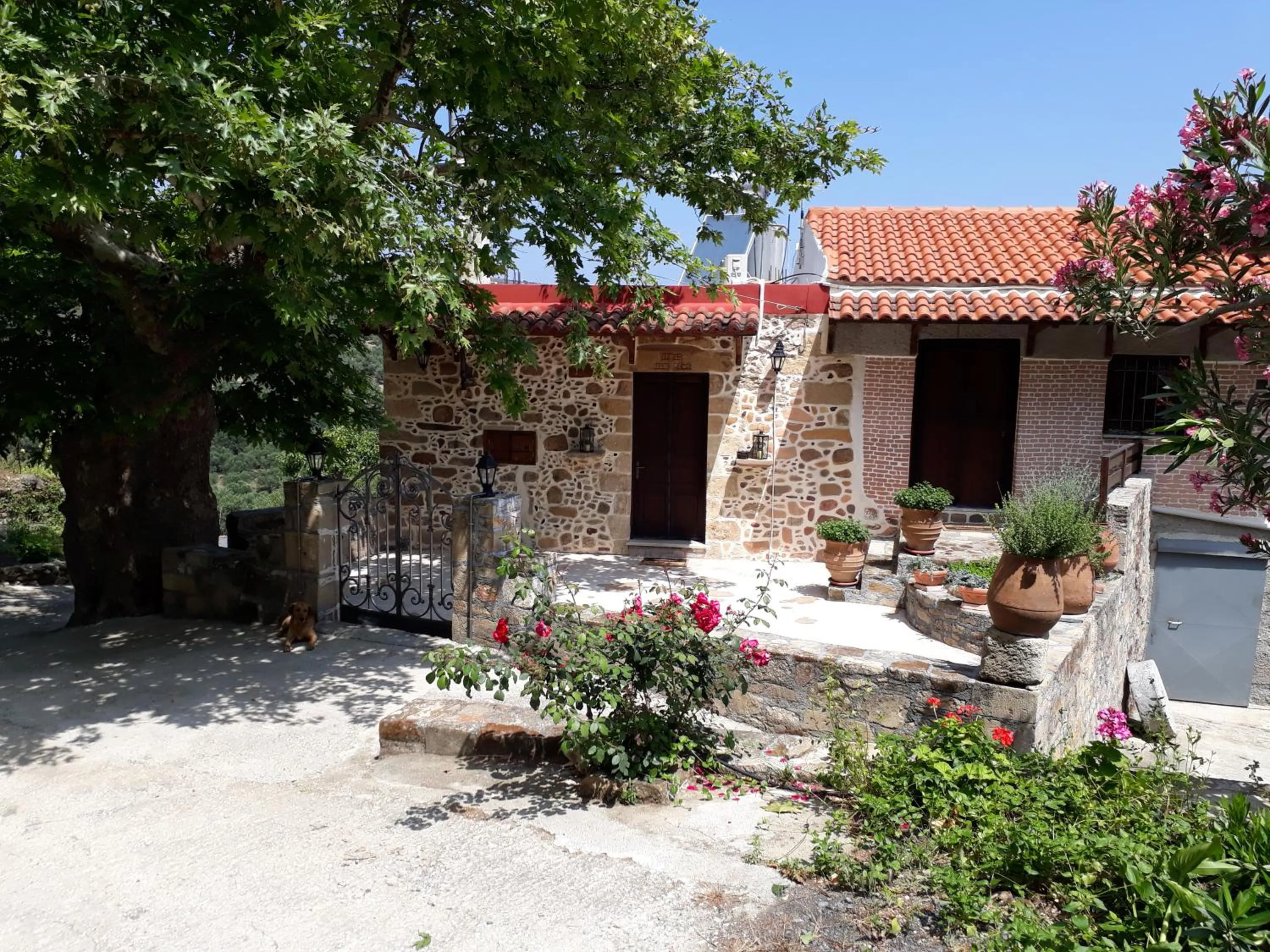 Facade/entrance in Traditional House Koukounara