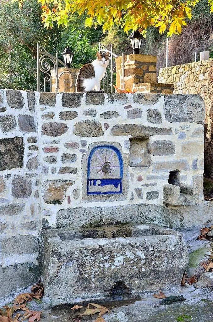 Pets in Traditional House Koukounara