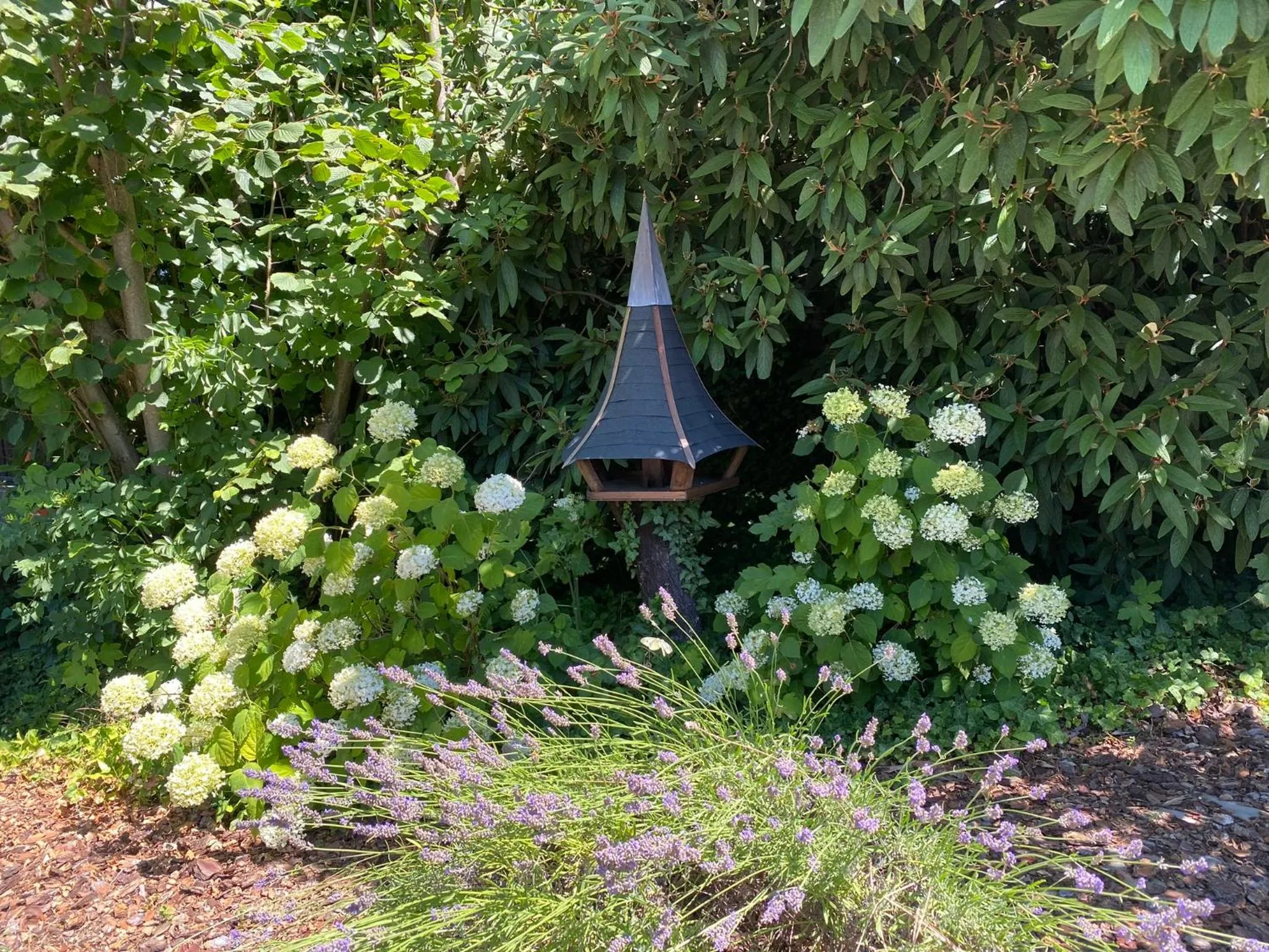 Garden in Les Rives des Habsbourg
