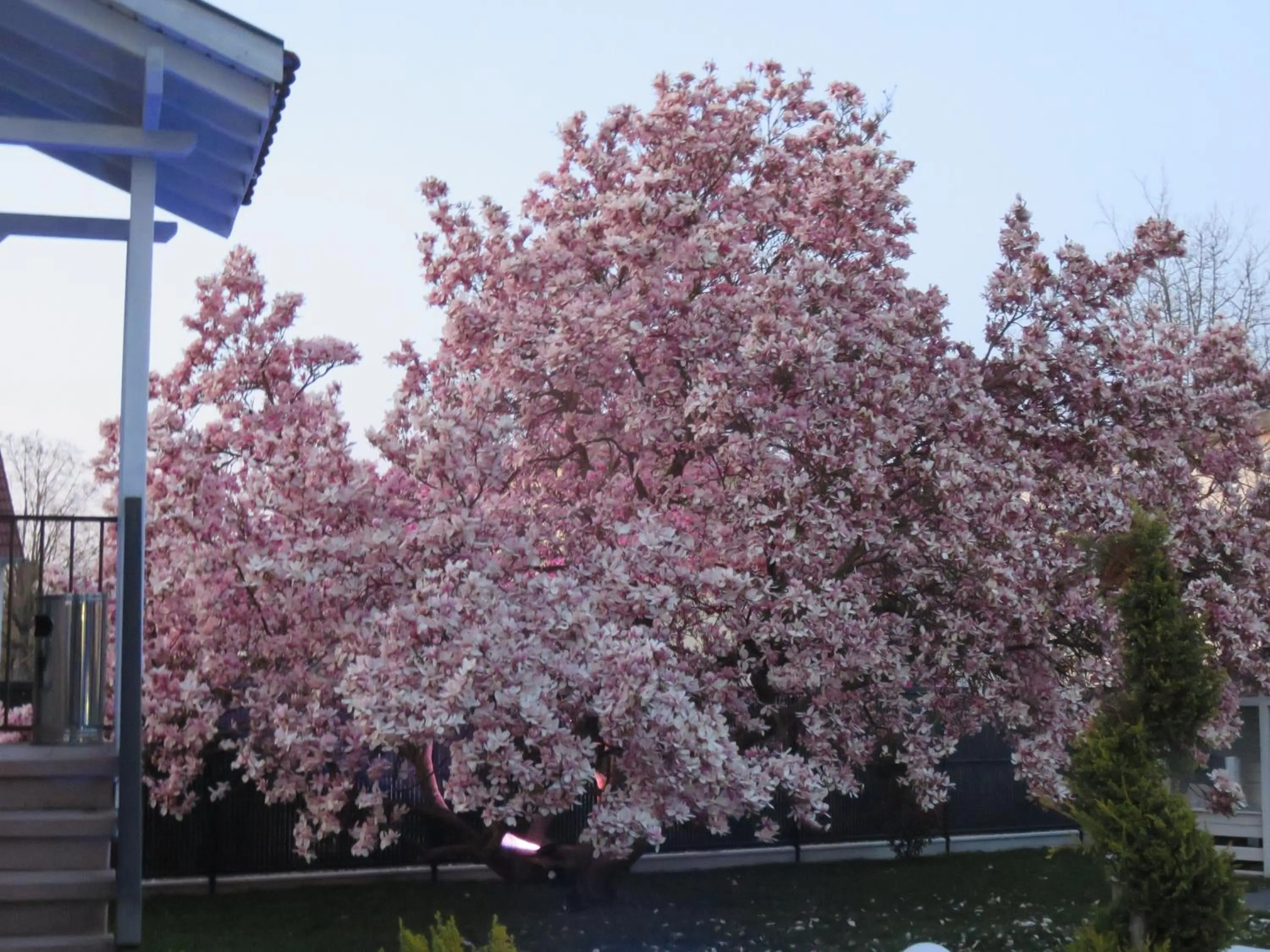 Les Rives des Habsbourg