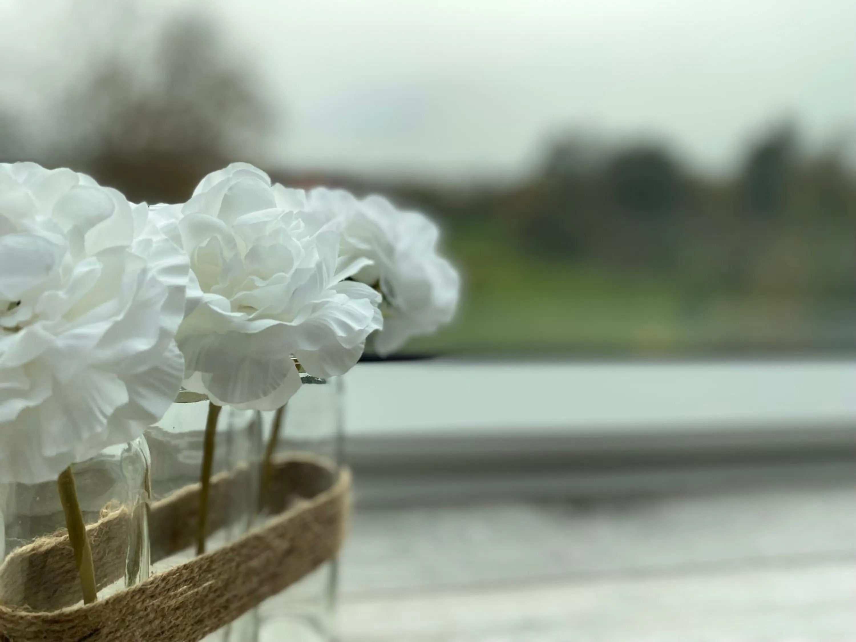 Les Rives des Habsbourg