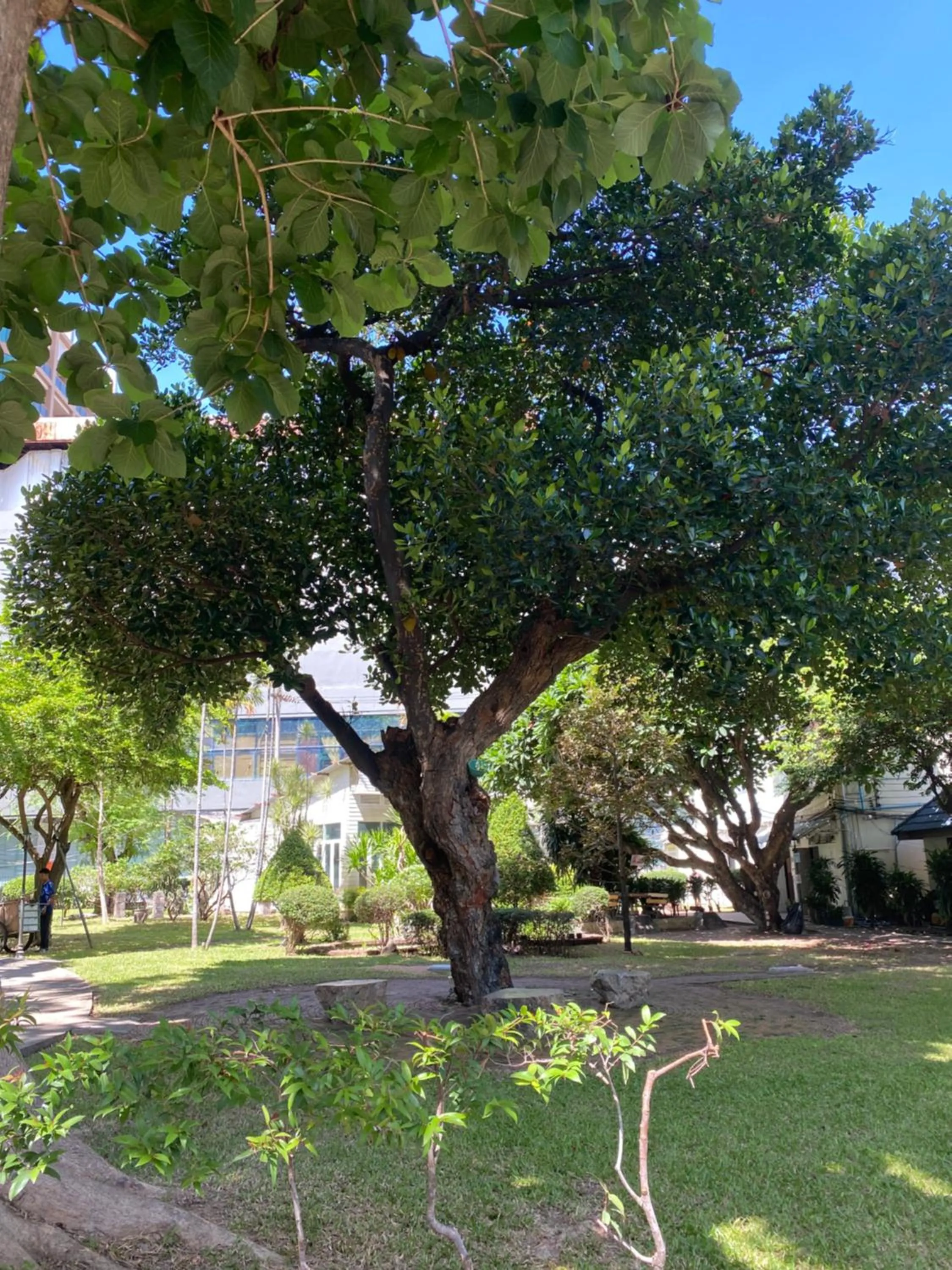 Garden in Nautical Inn