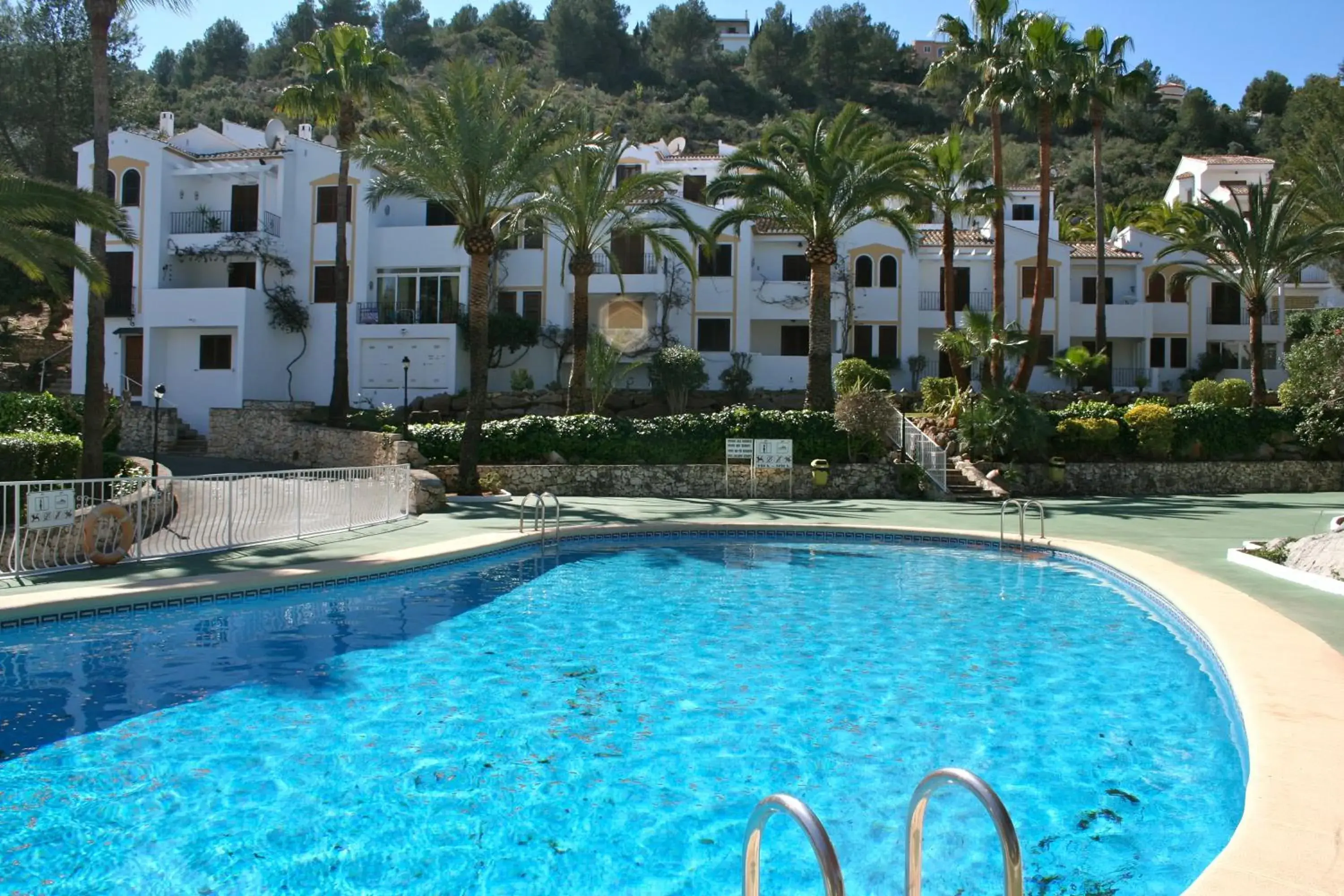 Buganvilla Buganvilla