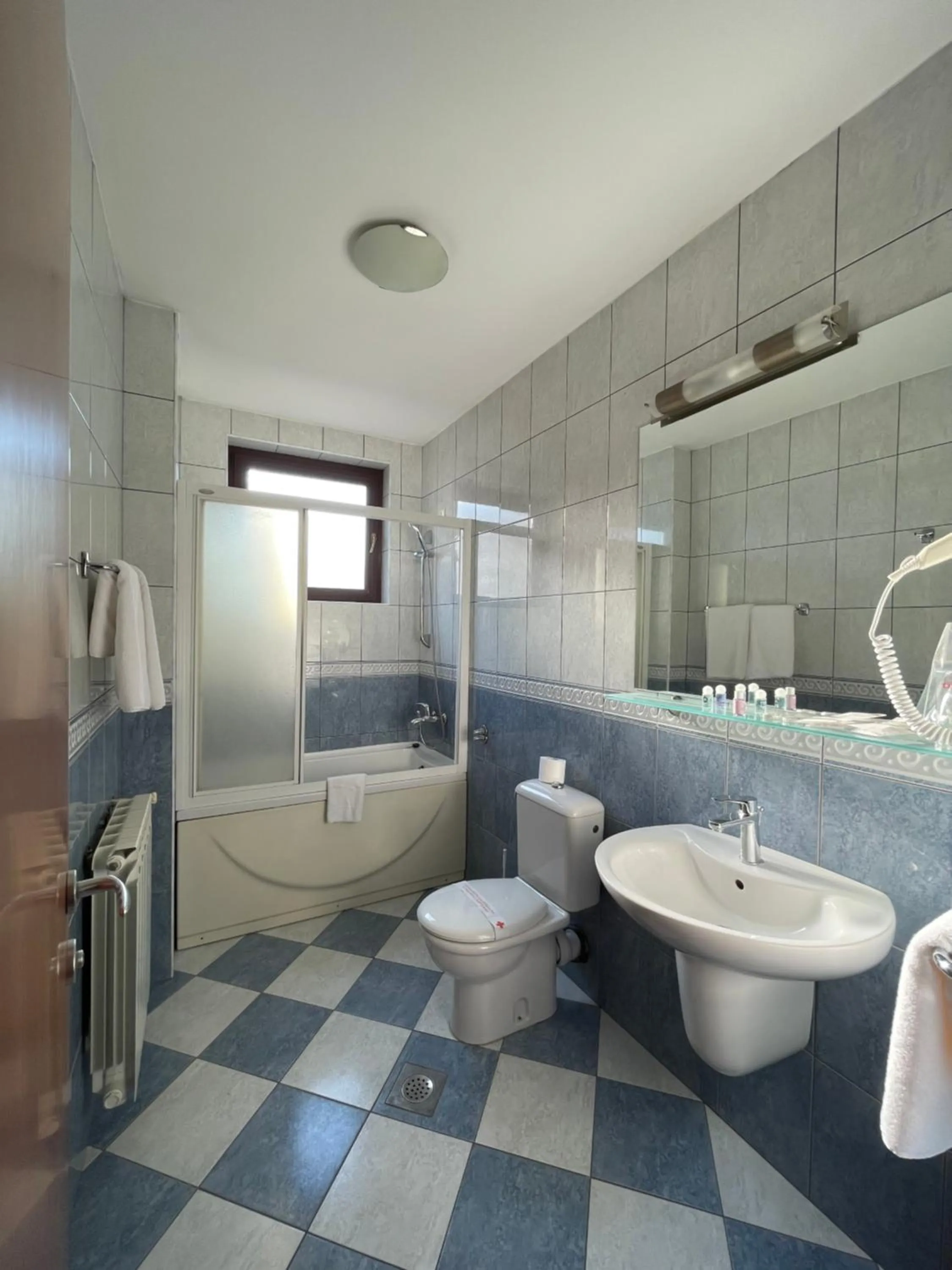 Double Room with Free Airport Shuttle  - single occupancy in Spa Hotel Terme