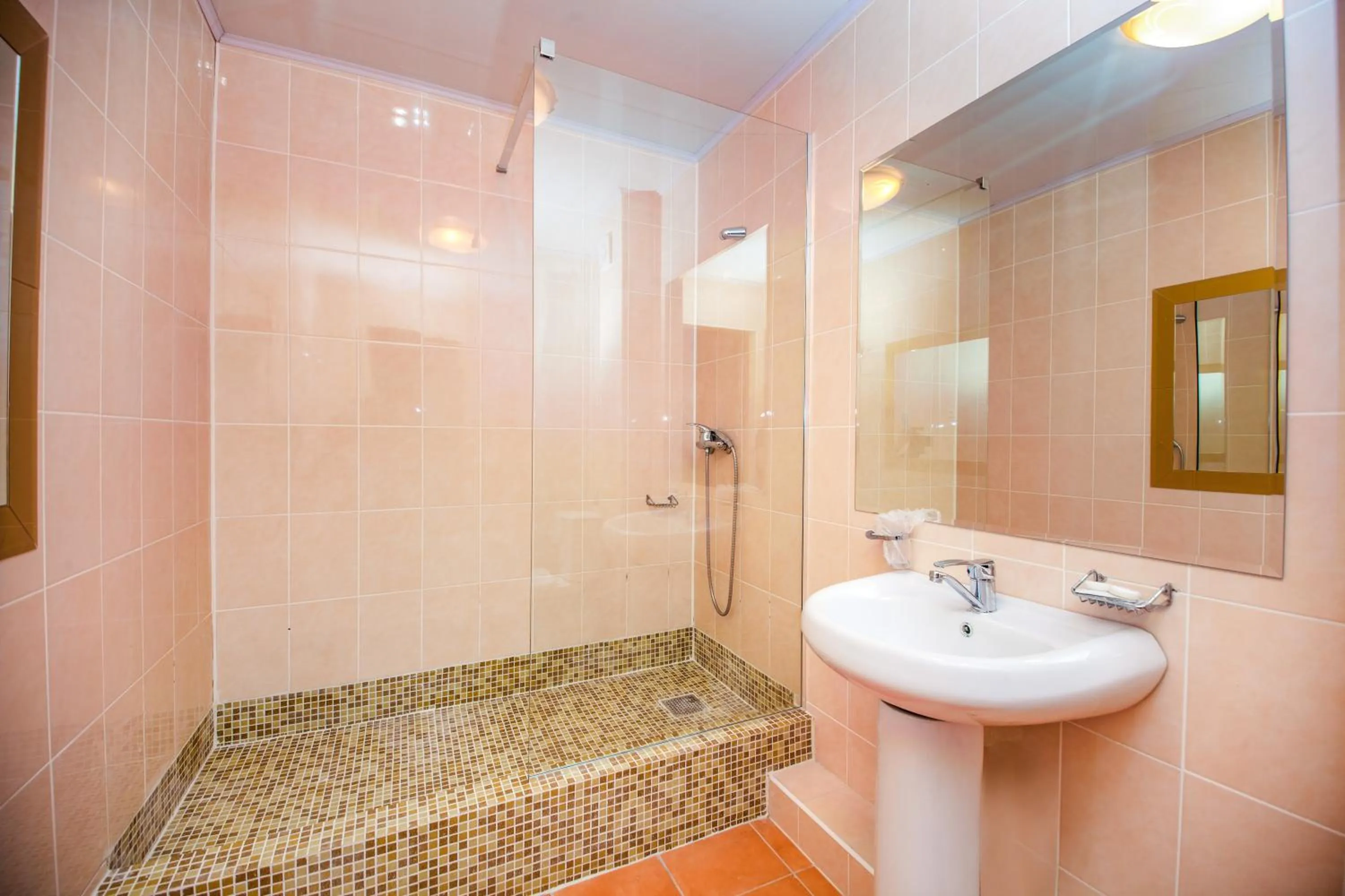 Bathroom in Europa Hotel