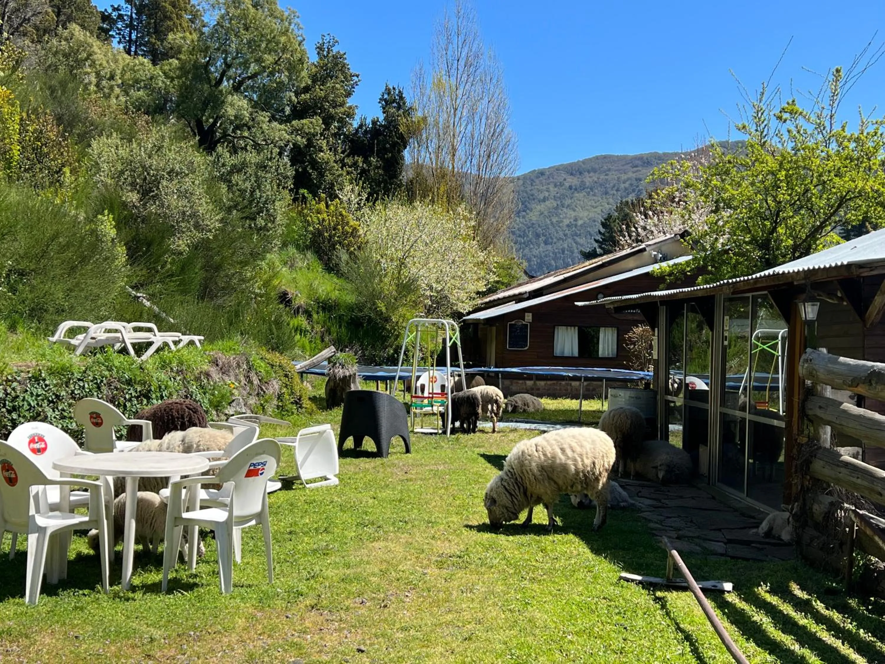 Garden in Sacromonte Apart