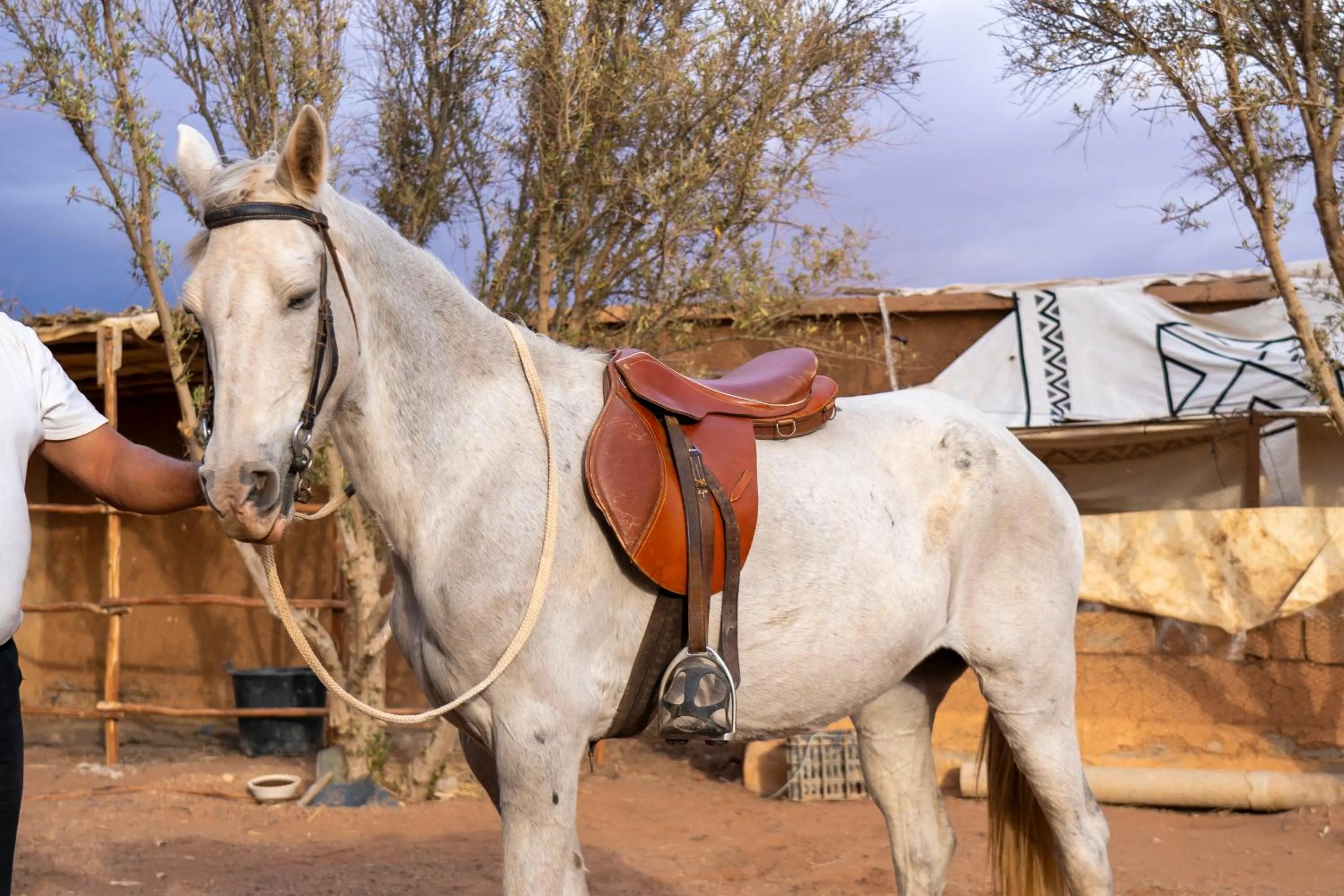 Horse-riding in Riad Jnane Ines
