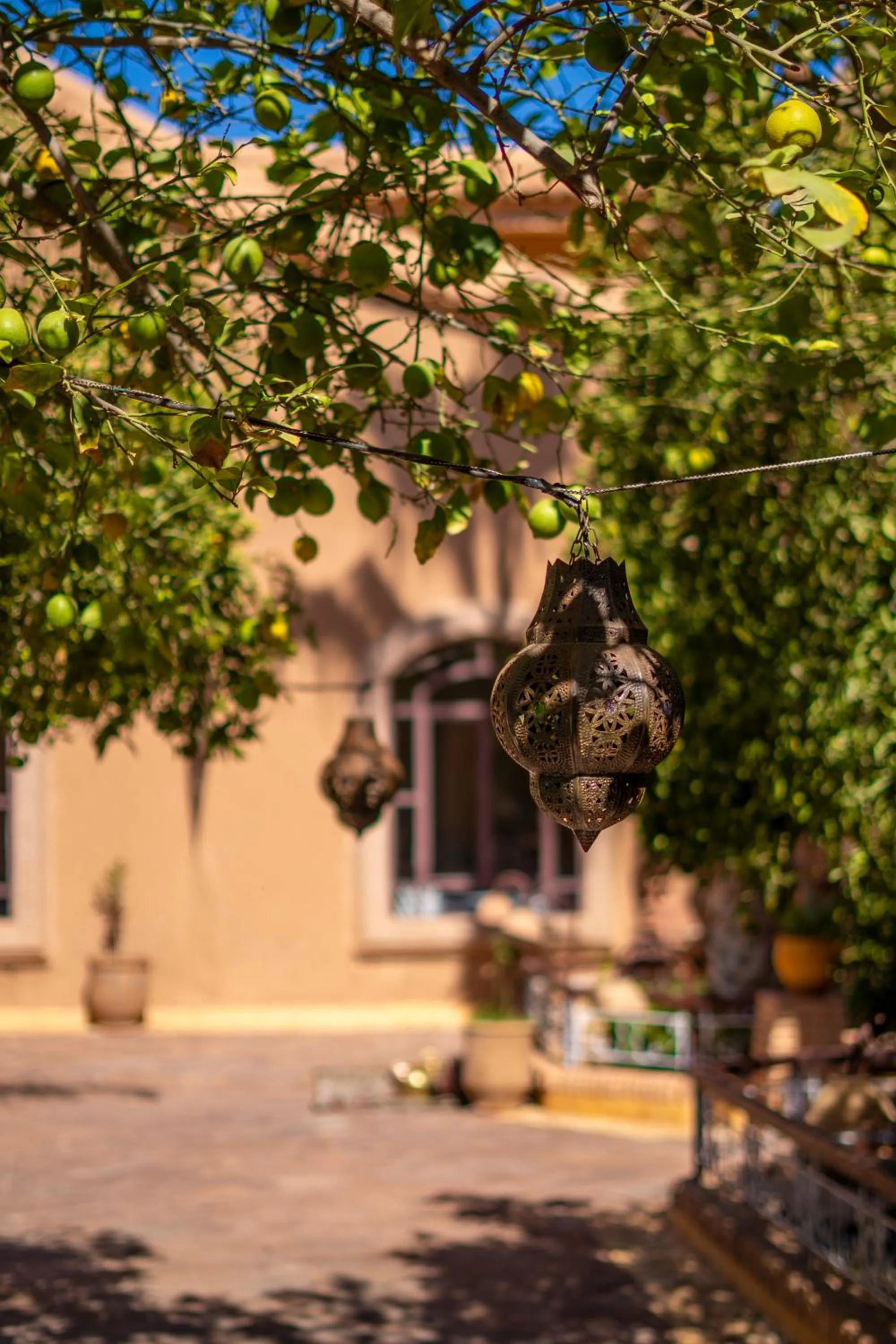 Spring in Riad Jnane Ines