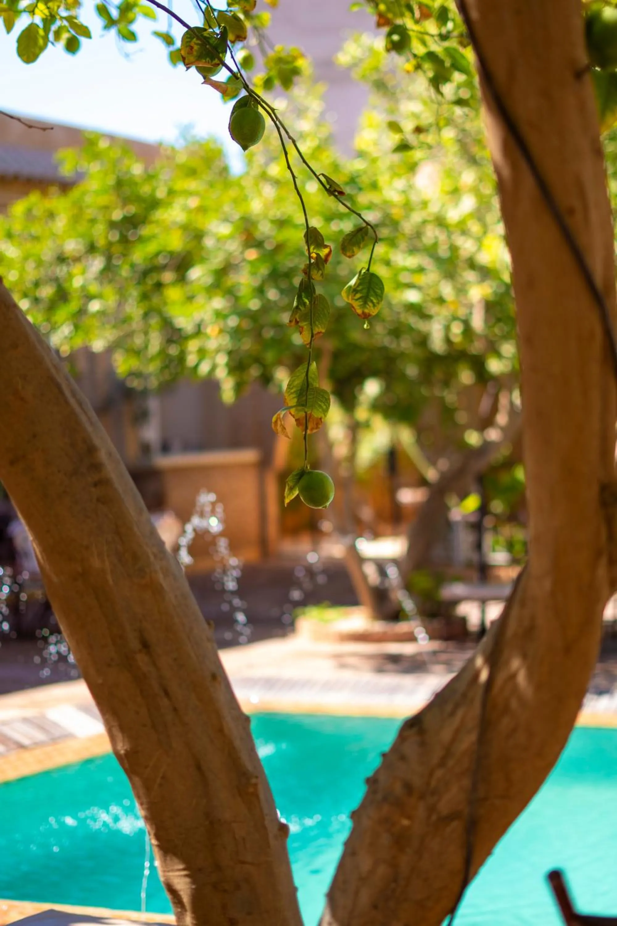Day in Riad Jnane Ines