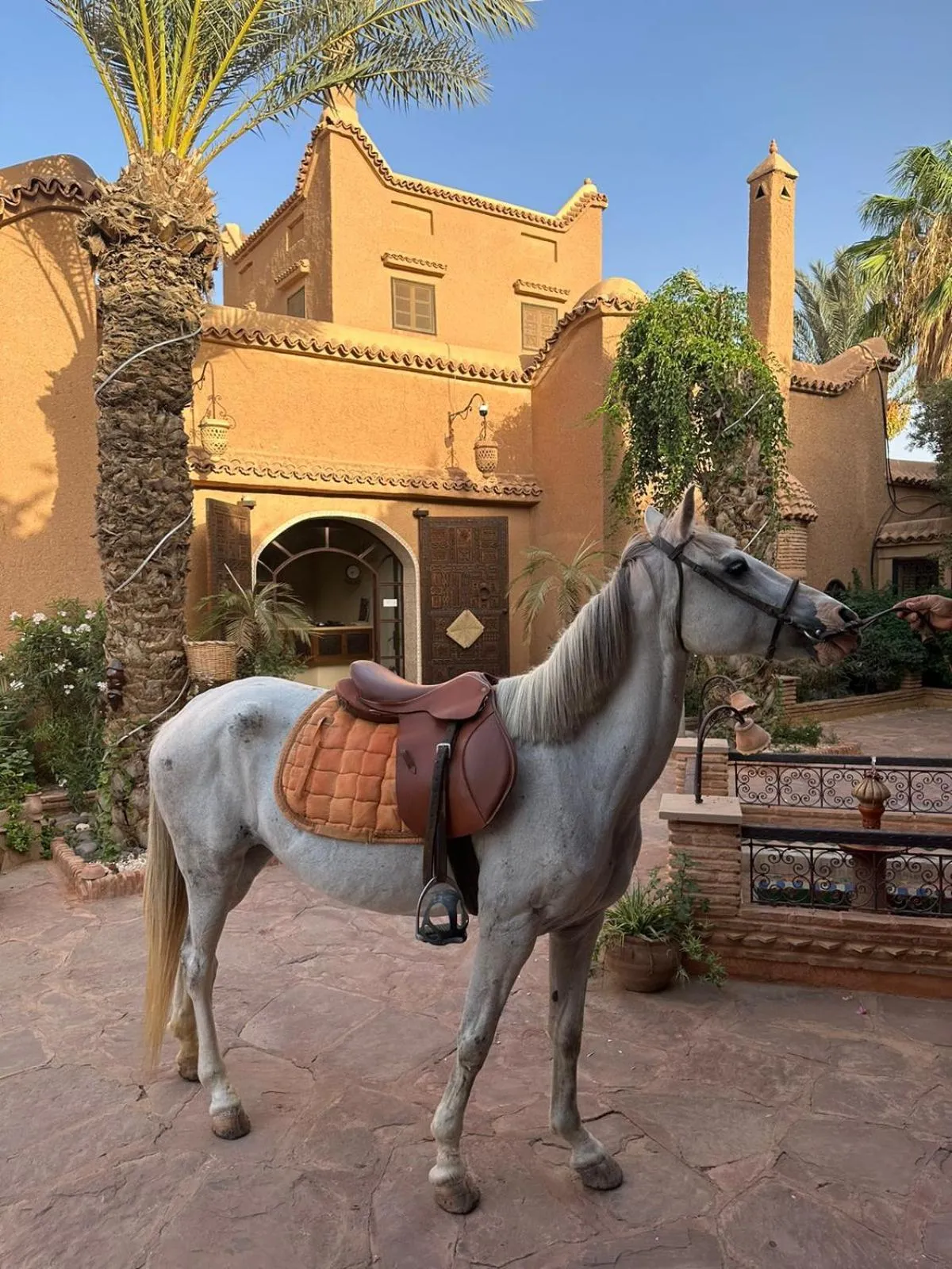 Horse-riding in Riad Jnane Ines