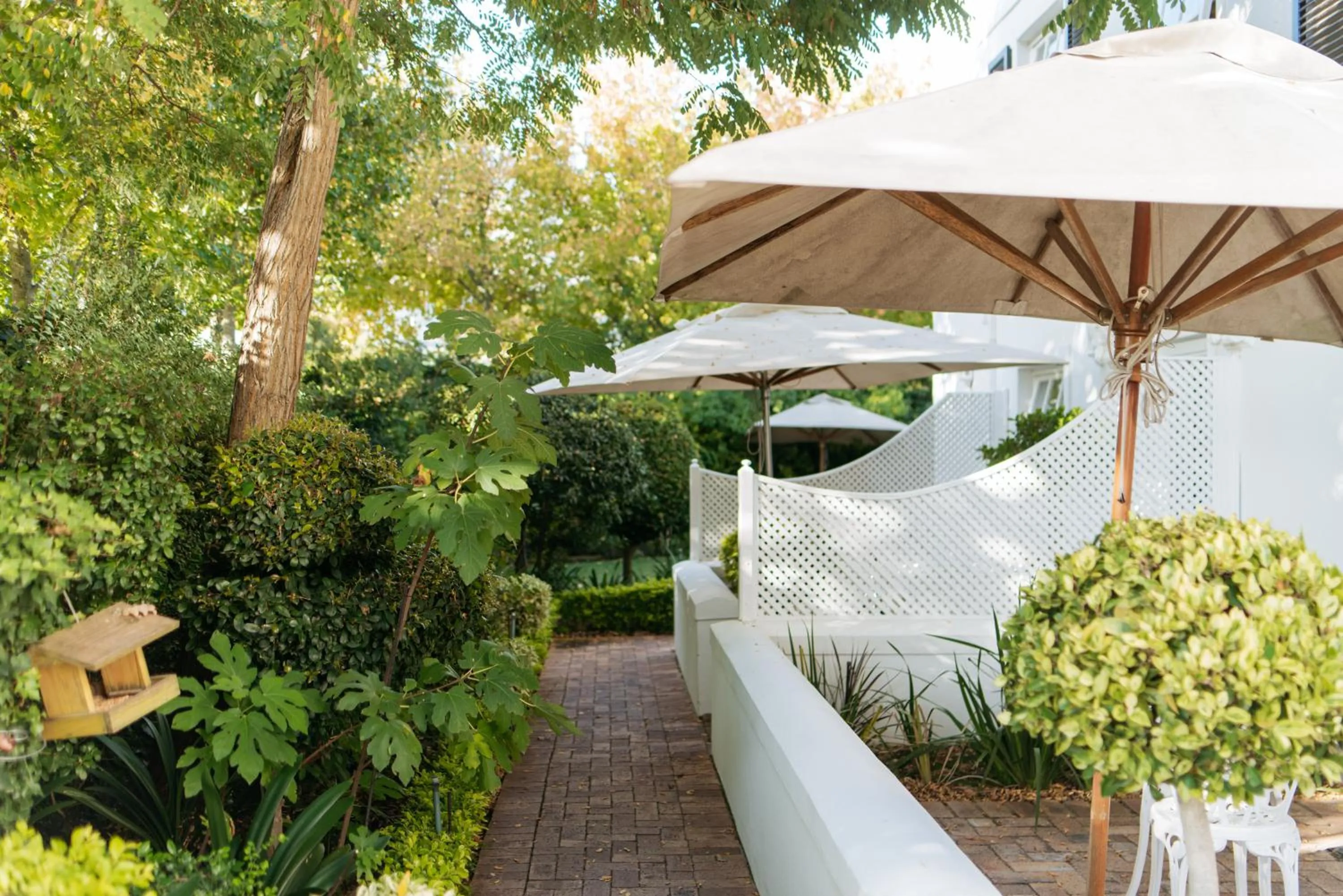 Garden in Maison Chablis Guest House