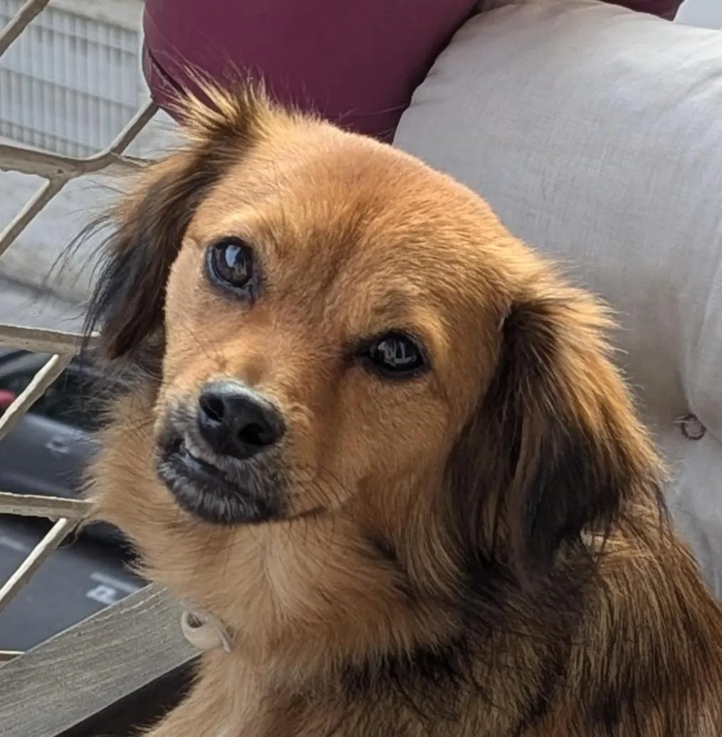 Hotel Victor Hugo Nice