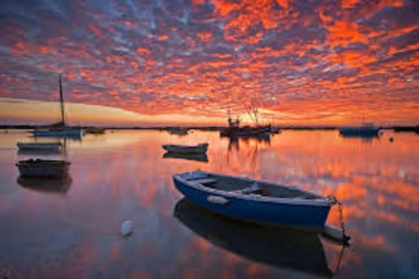 Natural landscape in The retreat