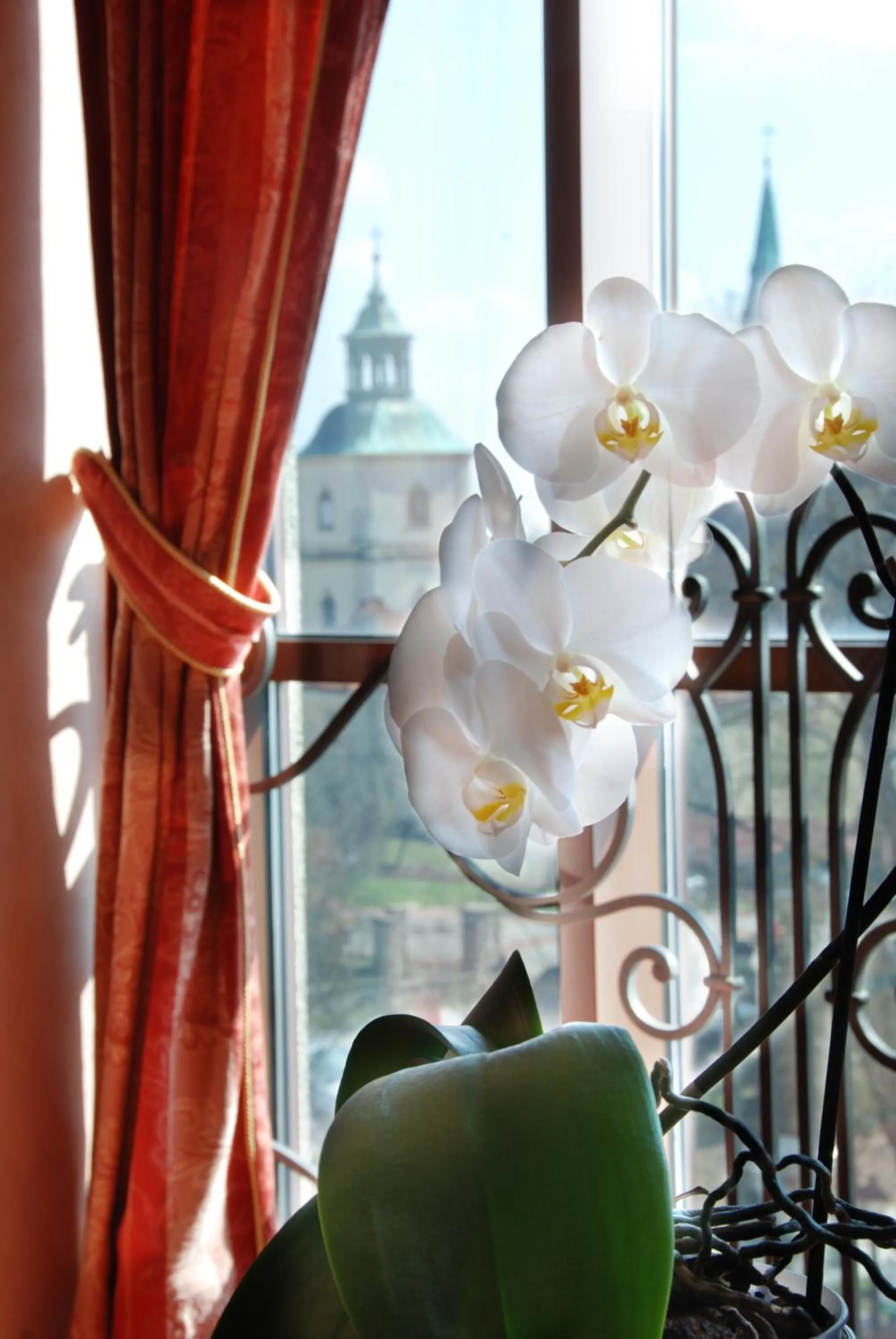 Decorative detail in Hotel Basztowy