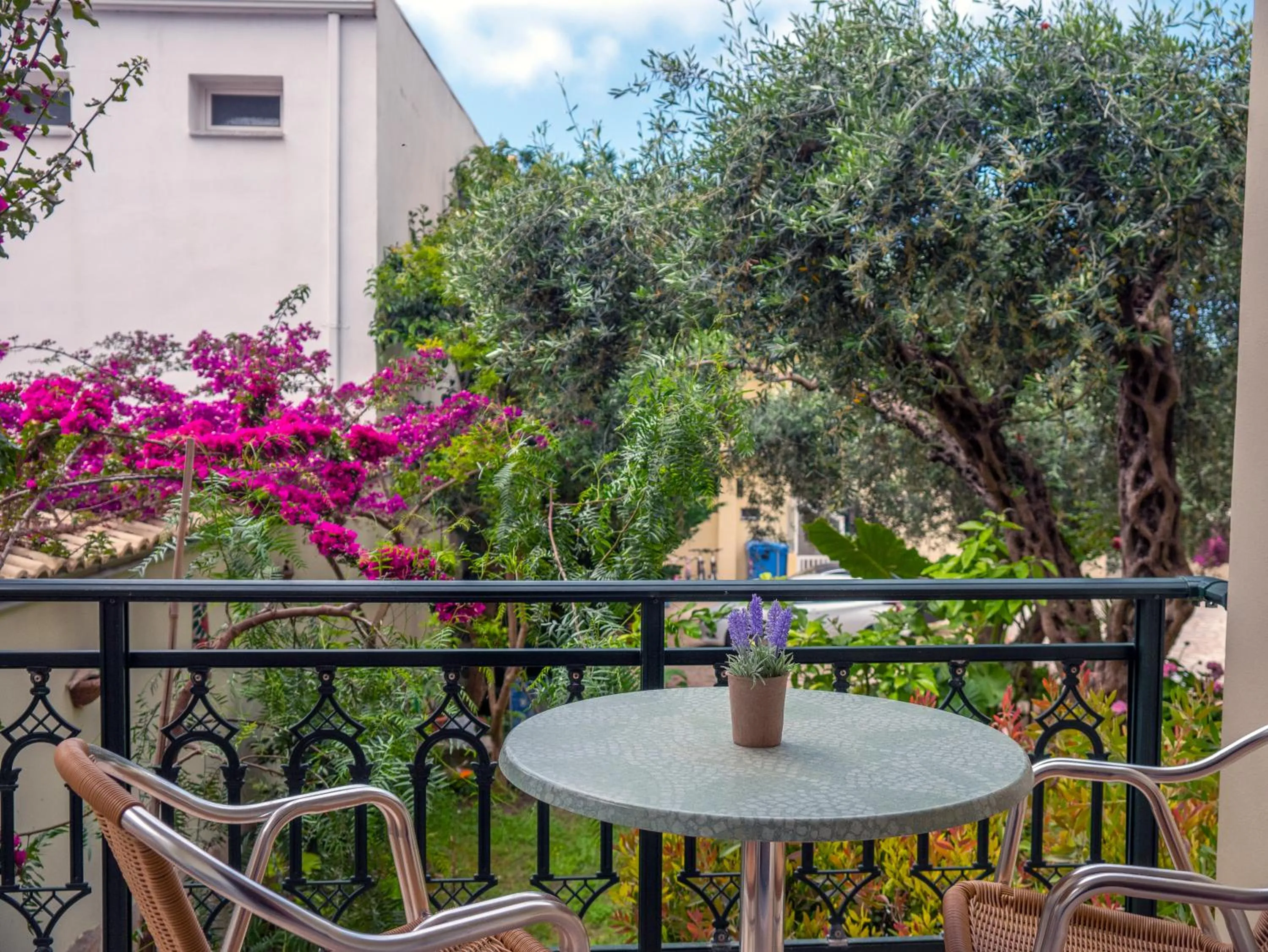 Garden in Hotel Loukas Vrachos