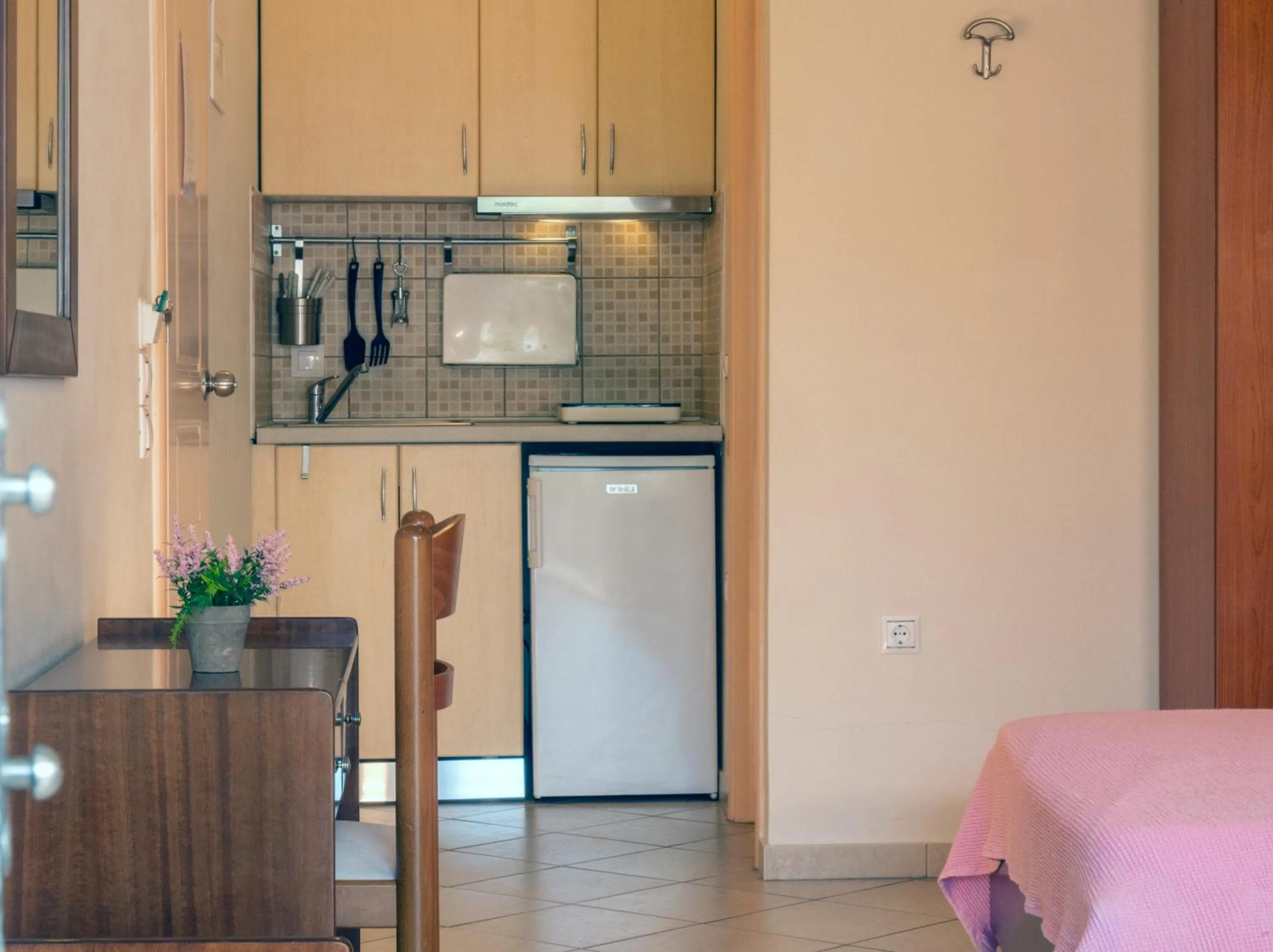 Kitchen or kitchenette in Hotel Loukas Vrachos