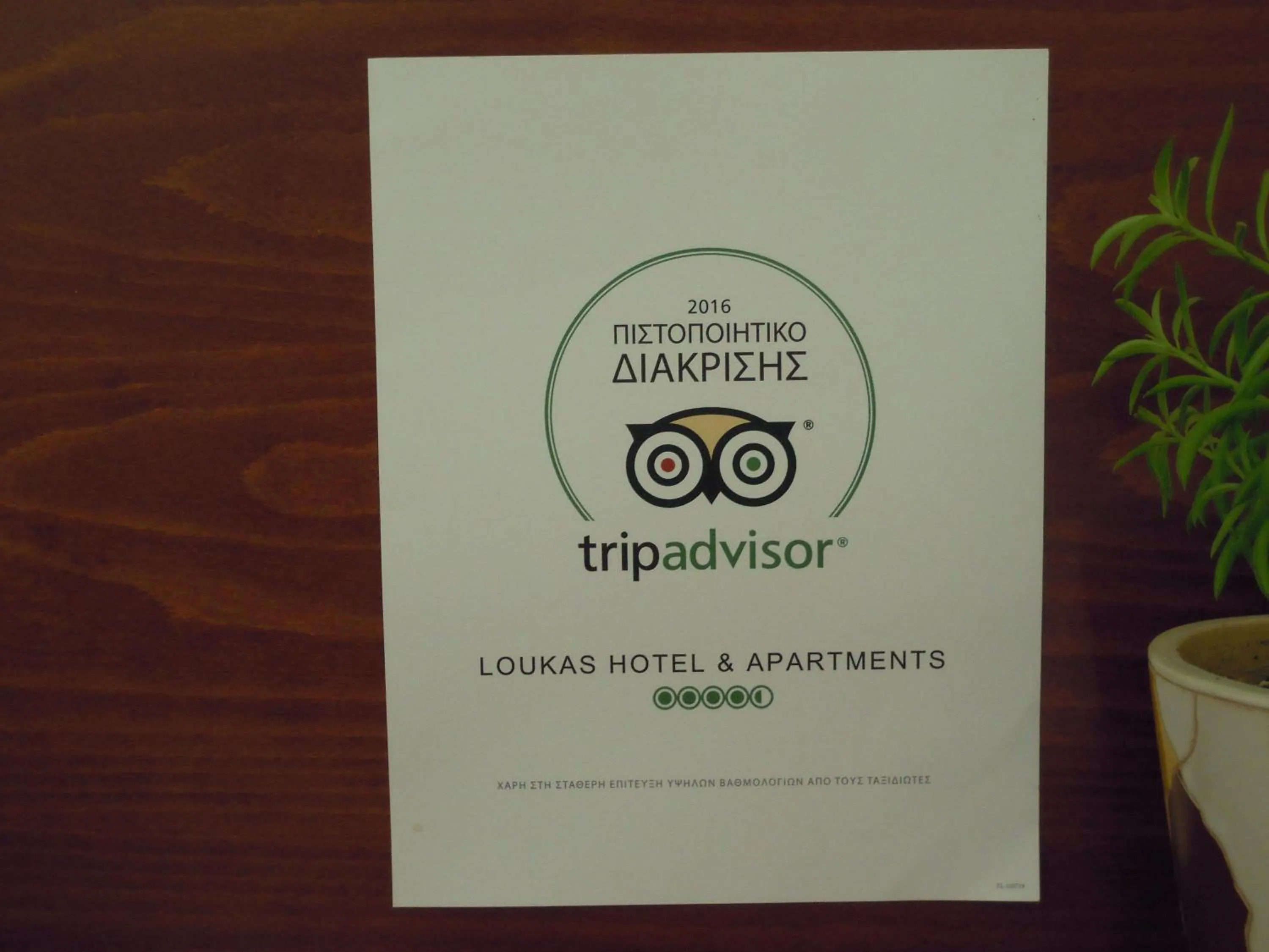 Certificate/Award in Hotel Loukas Vrachos