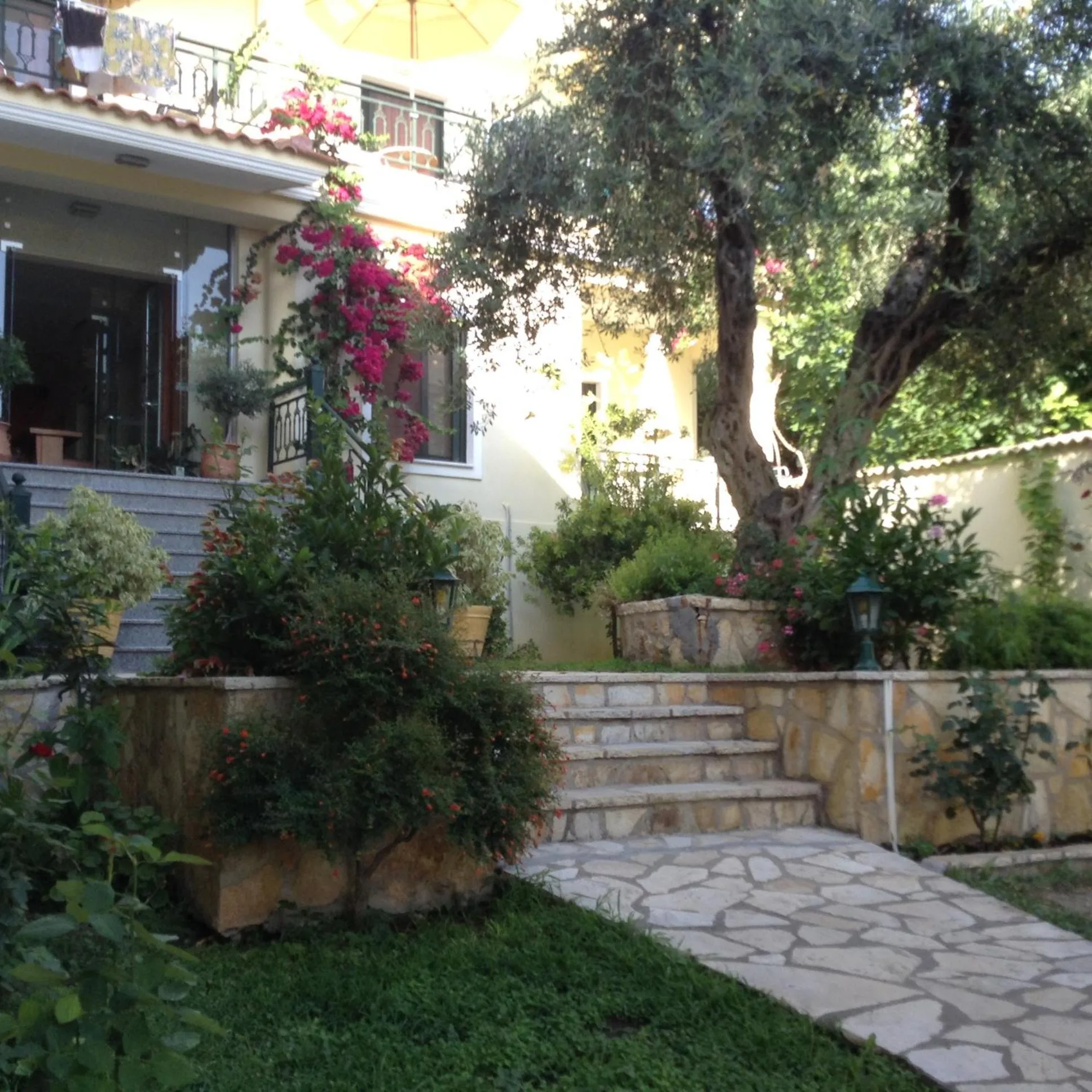 Garden in Hotel Loukas Vrachos