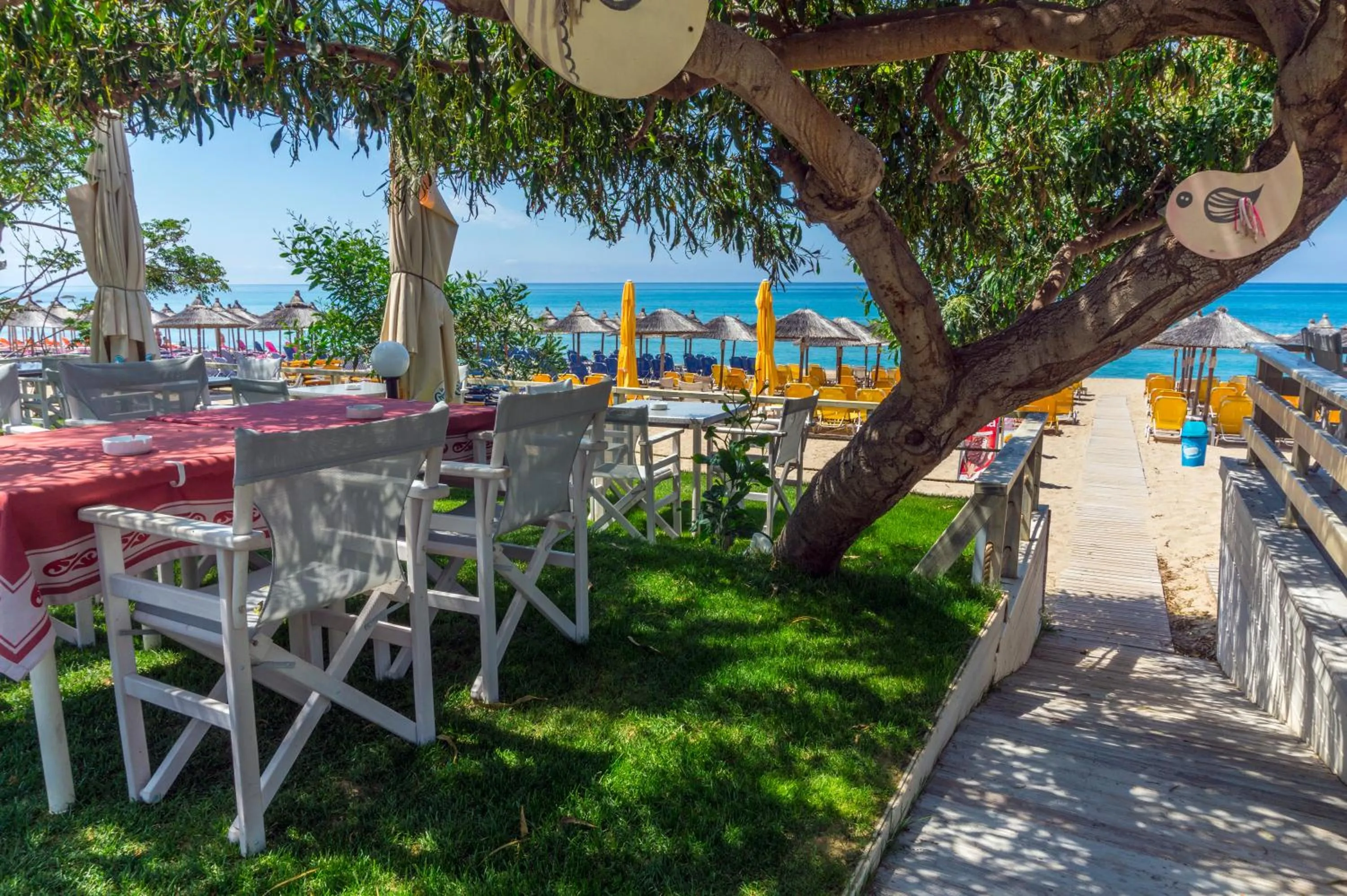 Patio in Hotel Loukas Vrachos