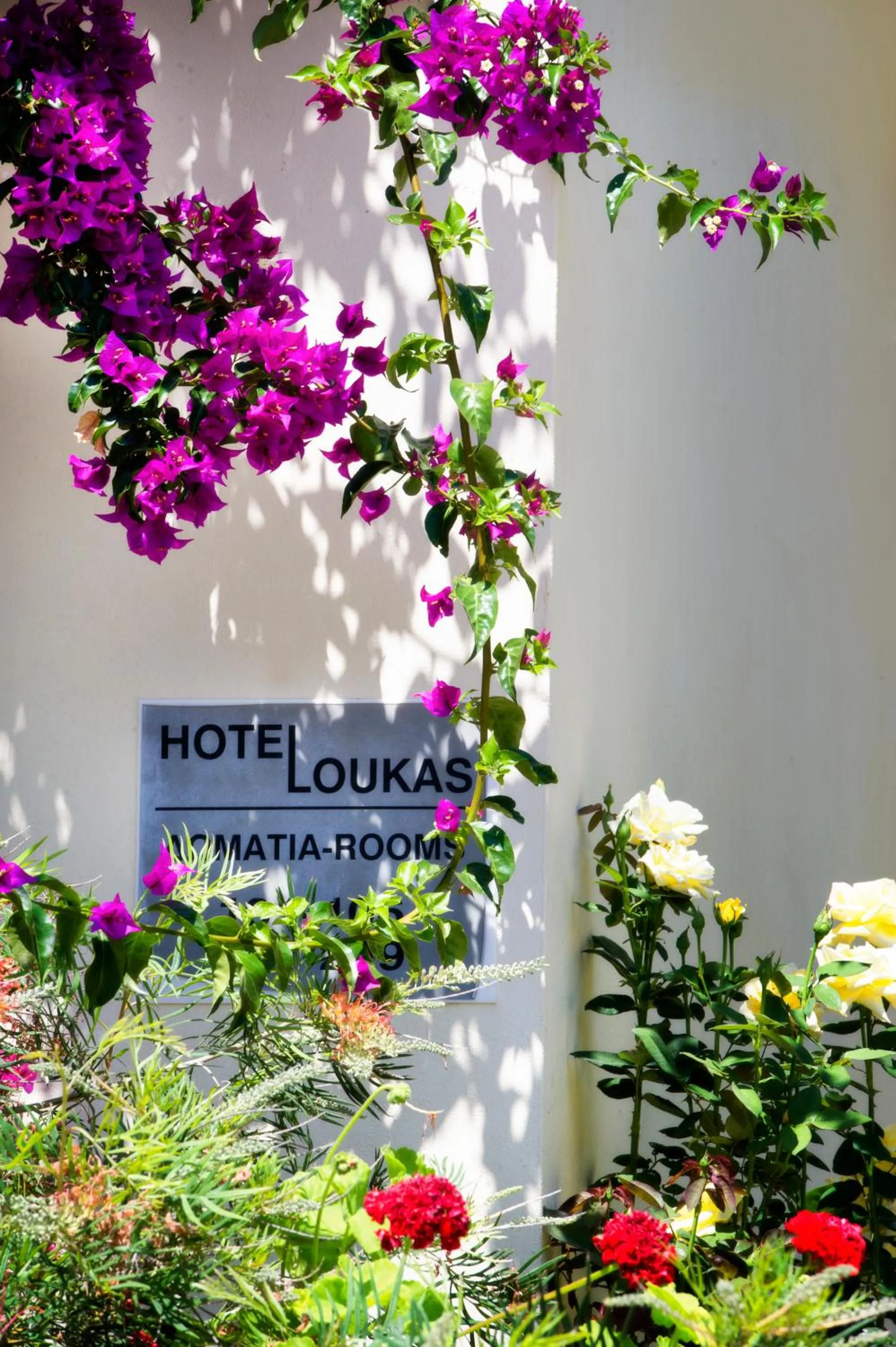 Decorative detail in Hotel Loukas Vrachos