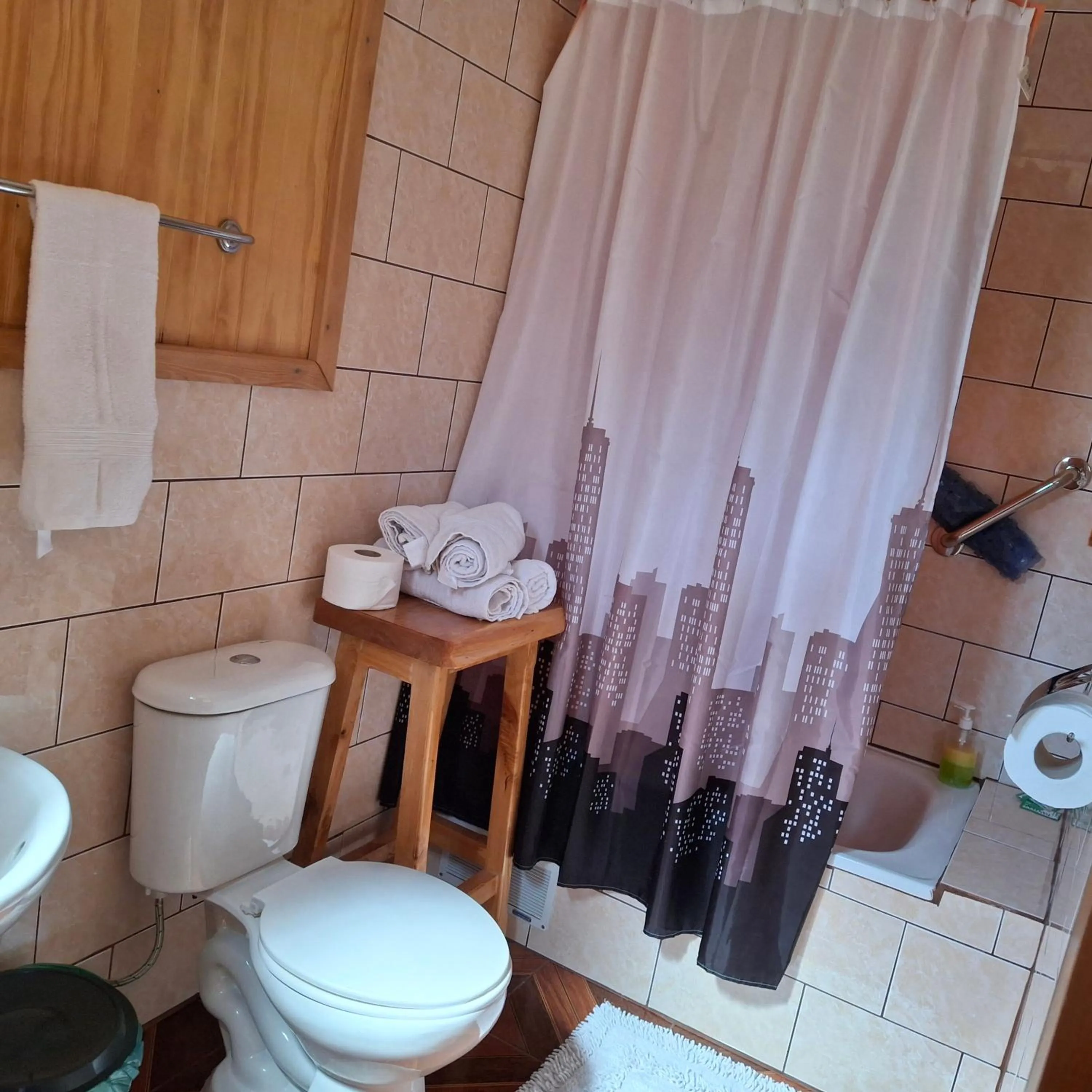 Bathroom in Los Mañíos Del Queulat Puyuhuapi