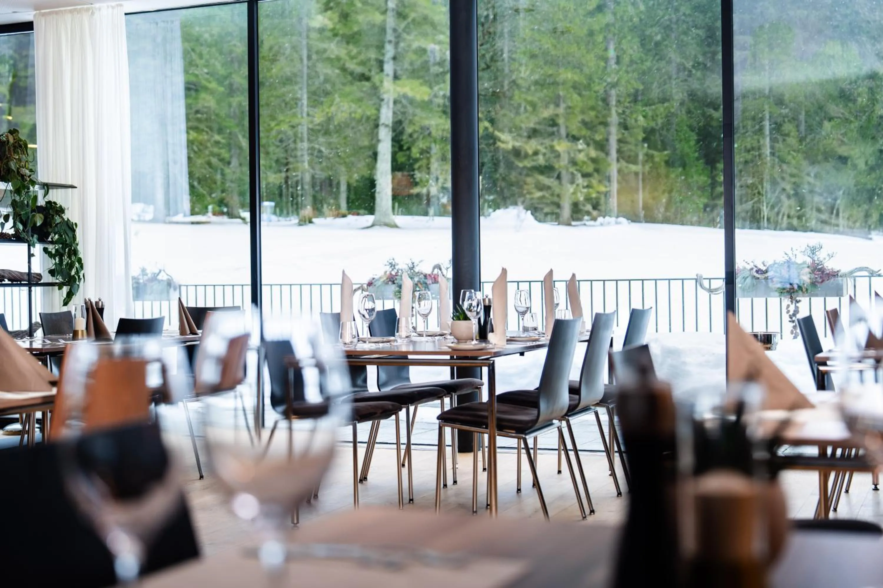 Restaurant/places to eat in Alpenhotel Ammerwald