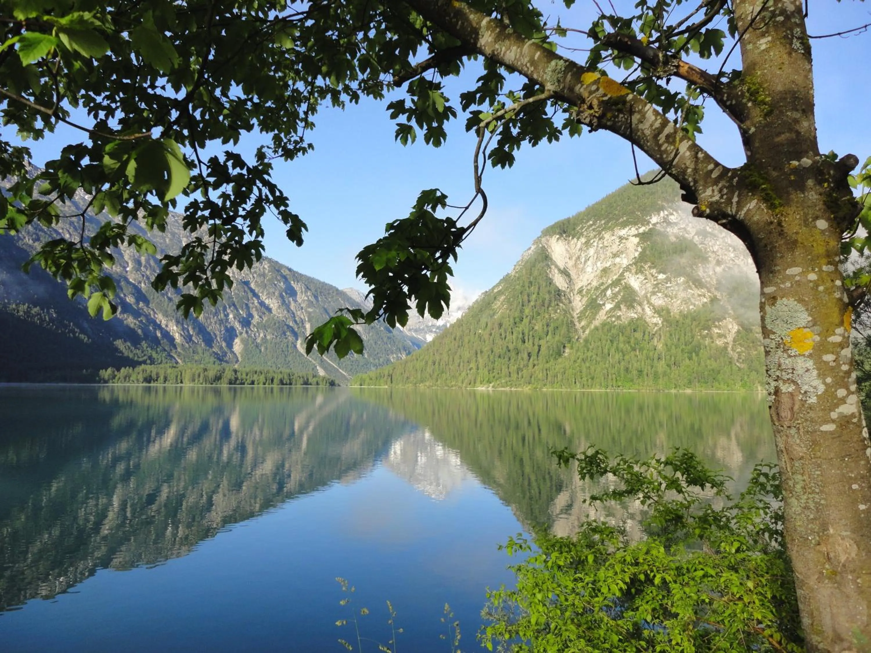 Natural landscape in Alpenhotel Ammerwald