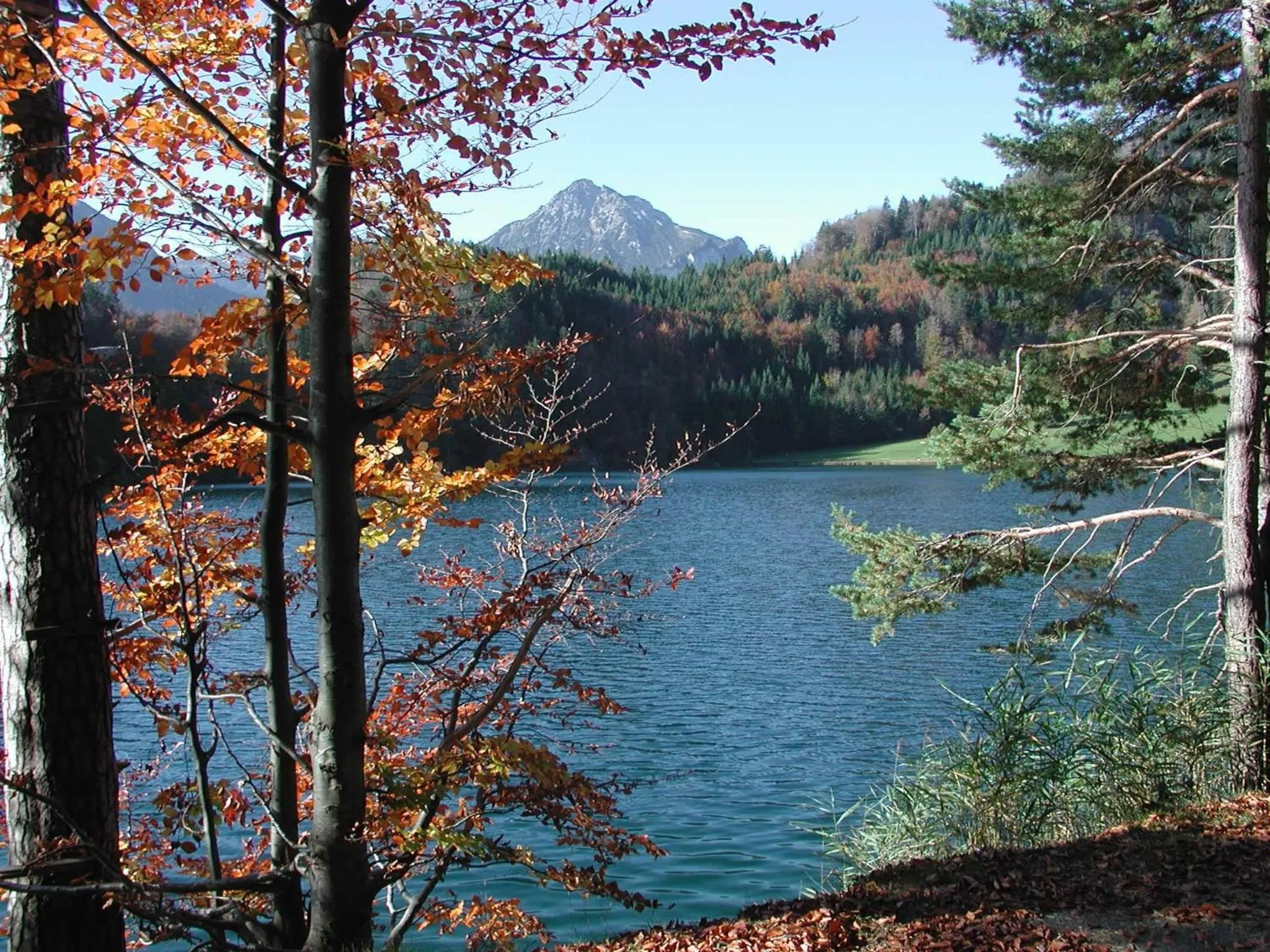 Hiking in Gästehaus am Graben