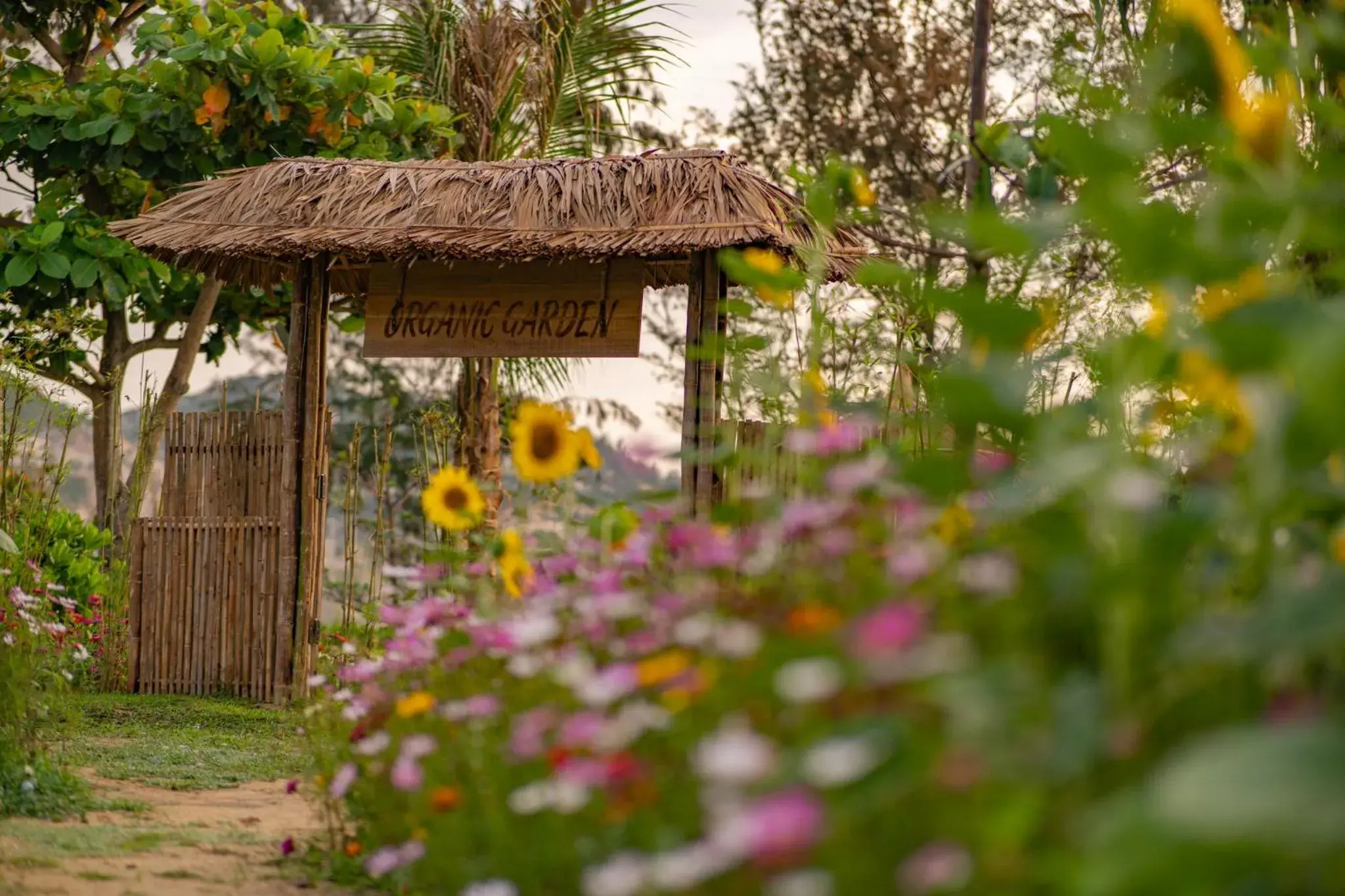 Property building in Crown Retreat Quy Nhon Resort Property building in Crown Retreat Quy Nhon Resort