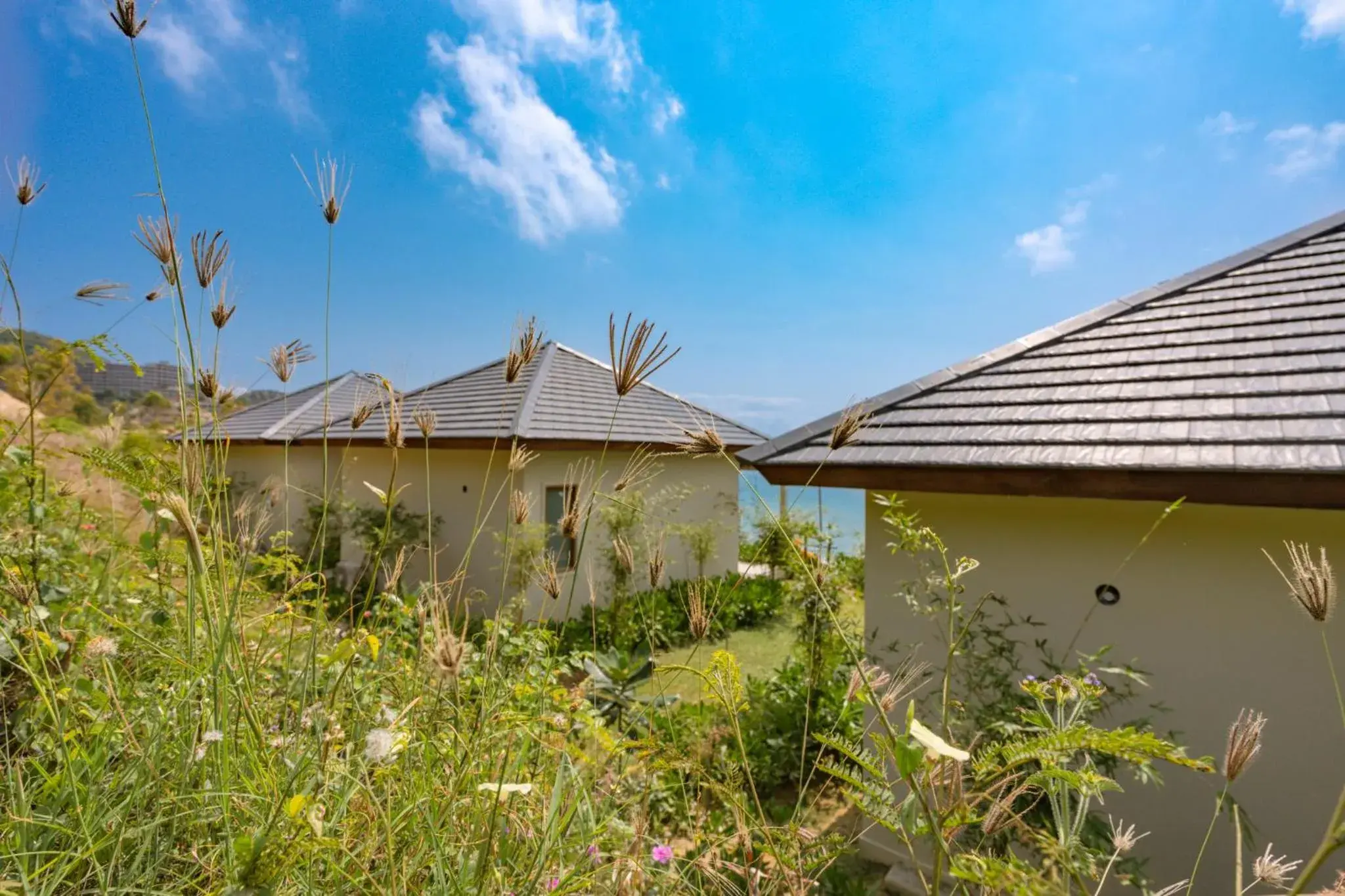 View (from property/room) in Crown Retreat Quy Nhon Resort View (from property/room) in Crown Retreat Quy Nhon Resort