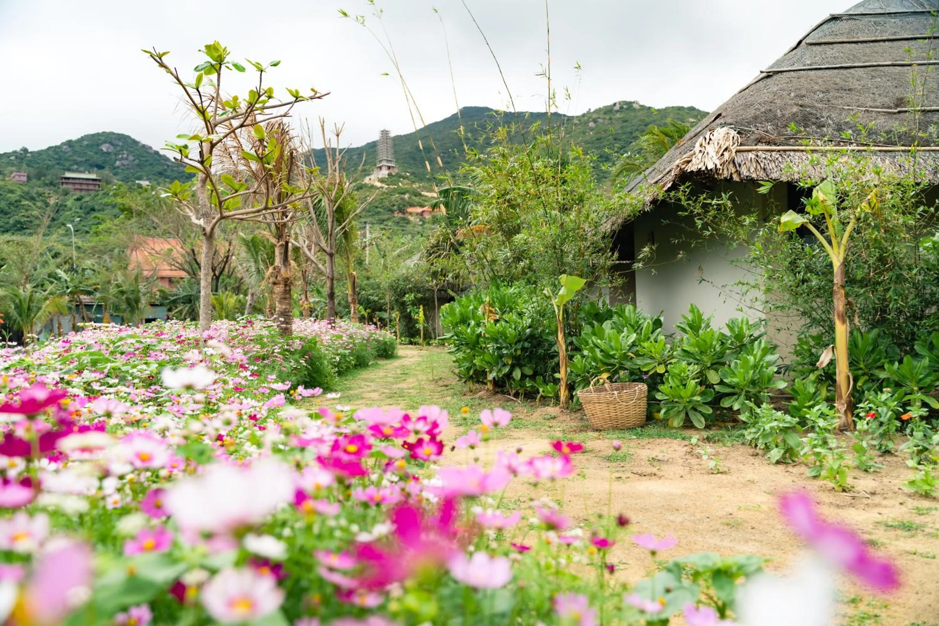 Natural landscape in Crown Retreat Quy Nhon Resort