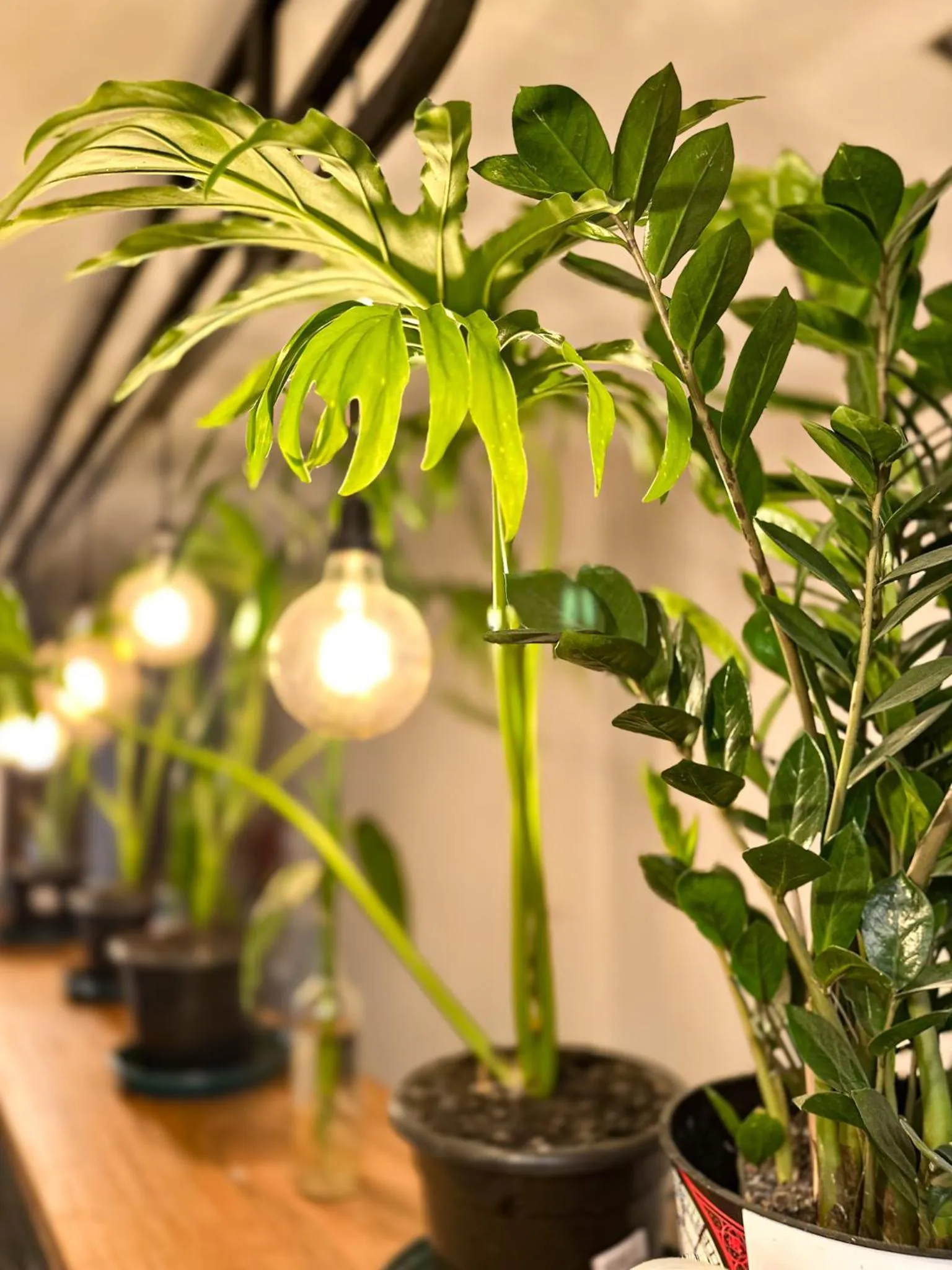 Property building in HMG Rio Suítes