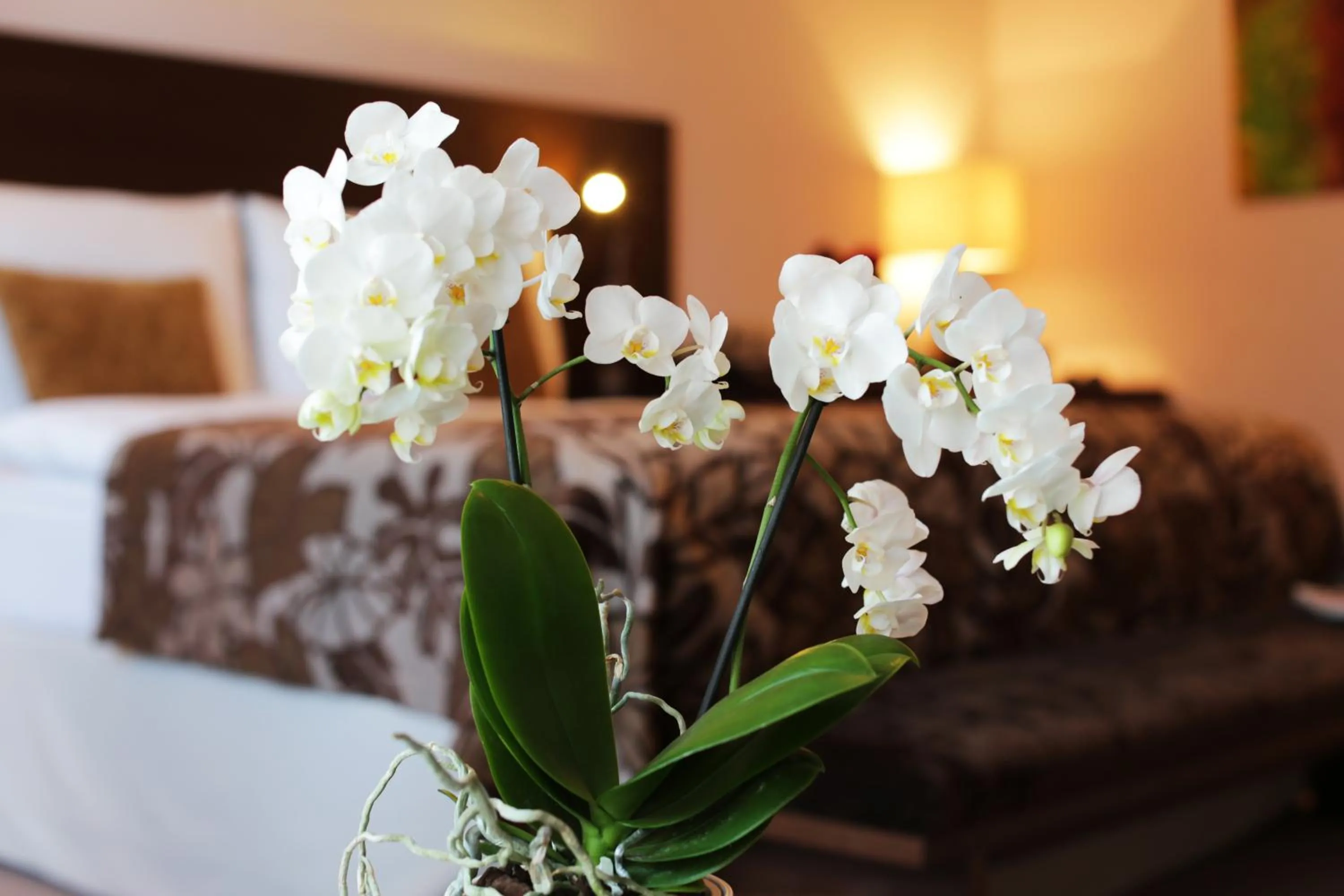 Bedroom, Bed in Hotel Zochova Chata - Adult friendly