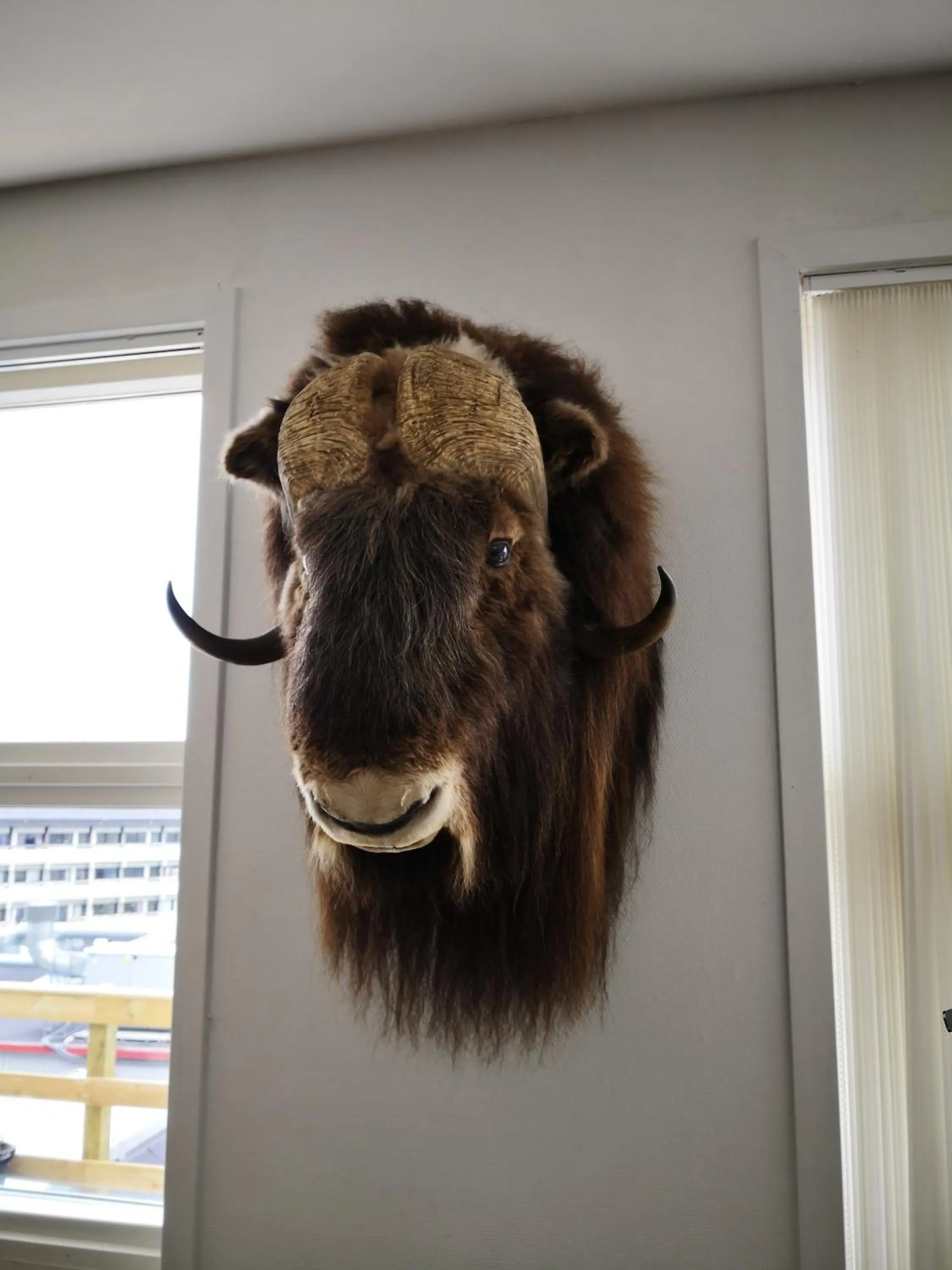 Other in Hotel Sisimiut & Tours