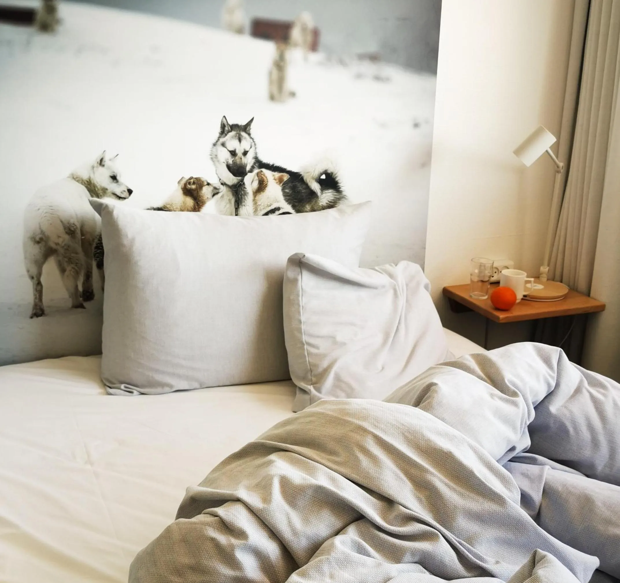 Bed in Hotel Sisimiut & Tours