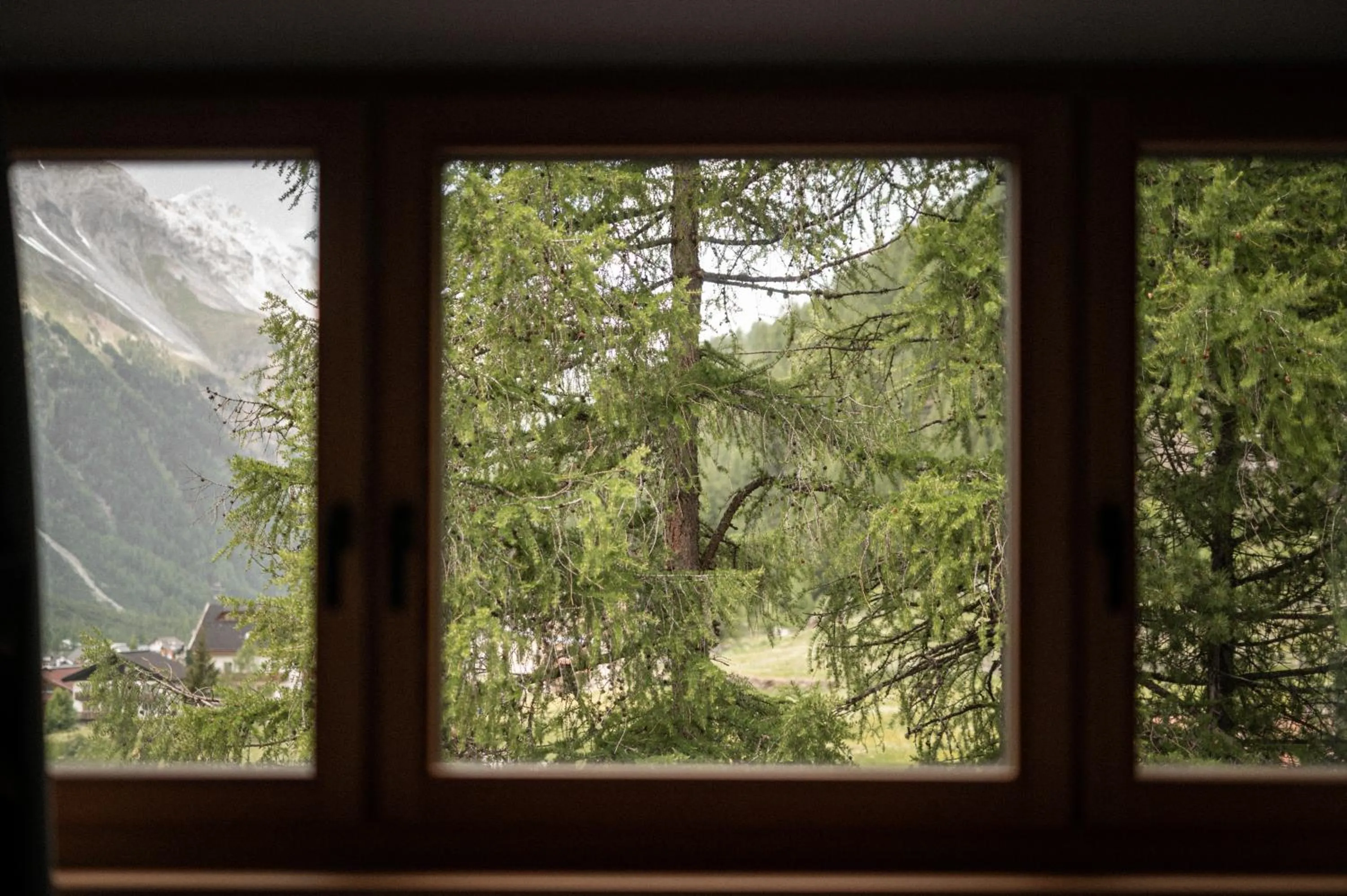 Natural landscape in Hotel Cristallo