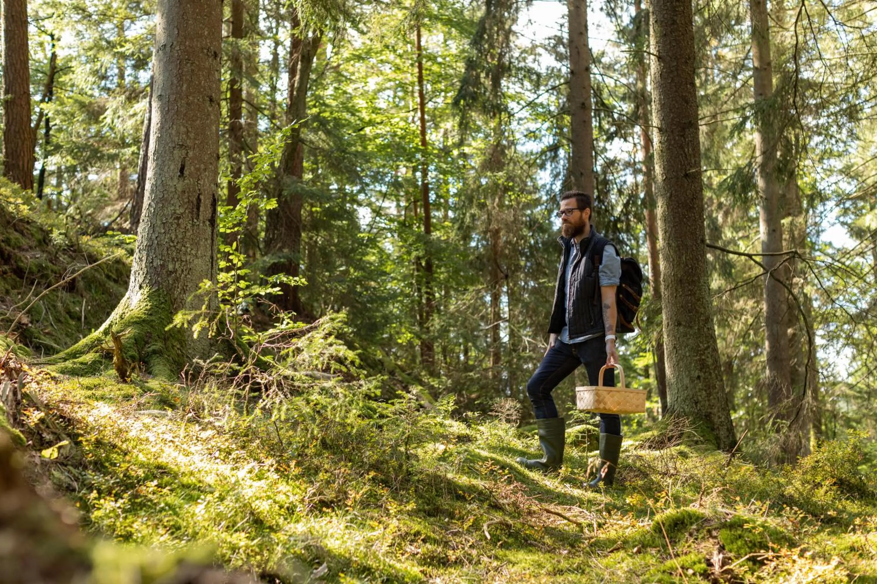 Natural landscape in Hotel Bergland