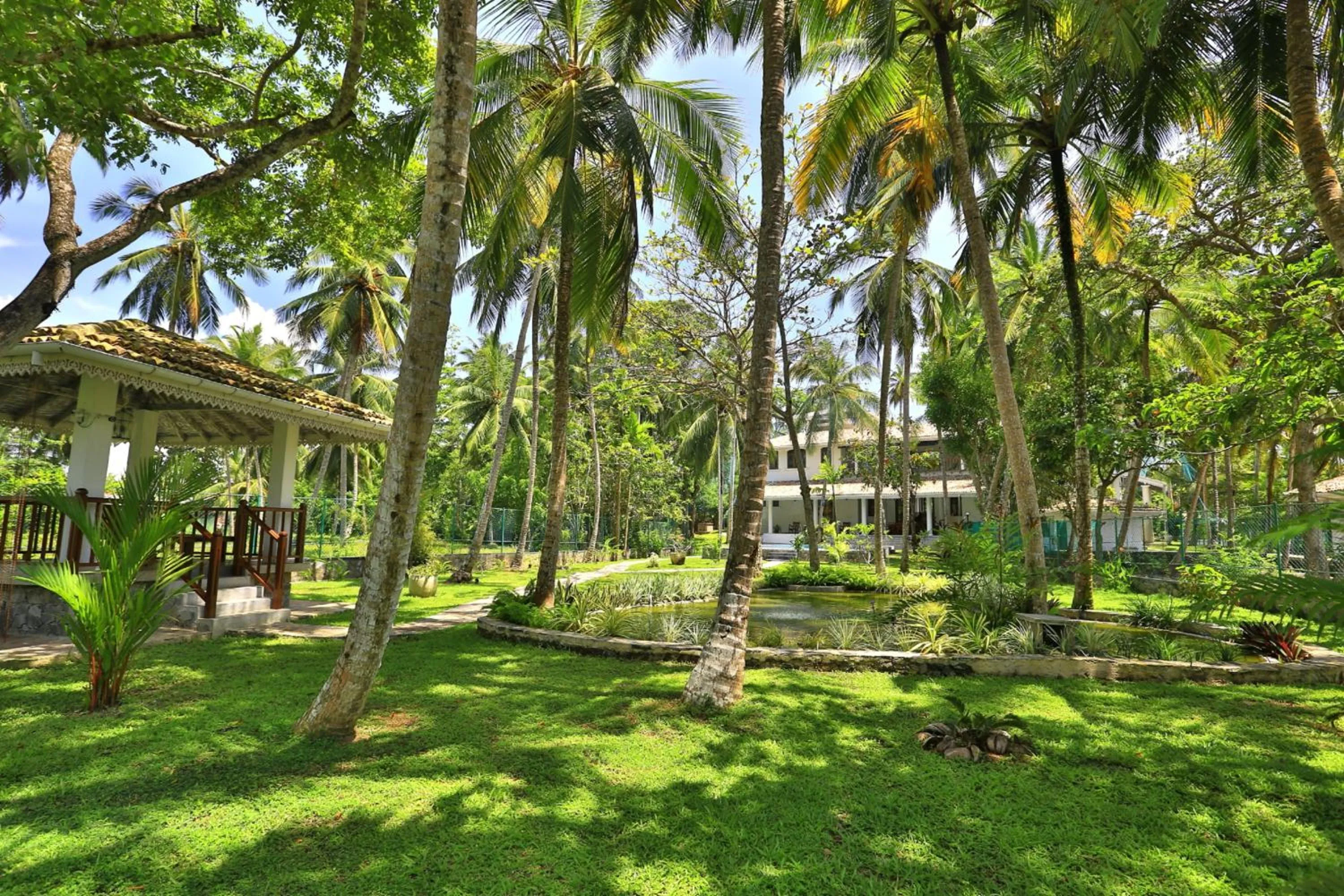 Garden in Amara Villa