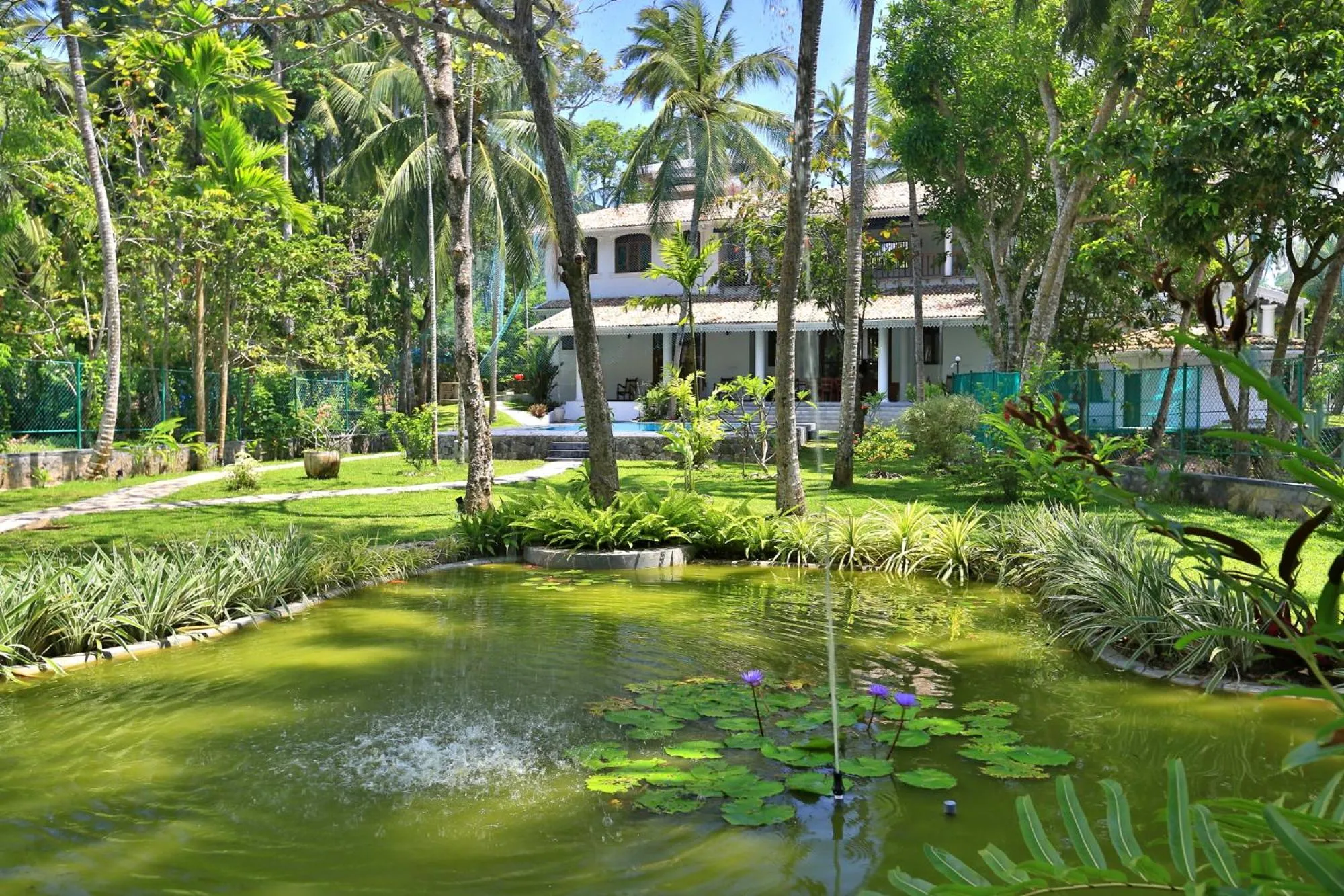 Garden in Amara Villa