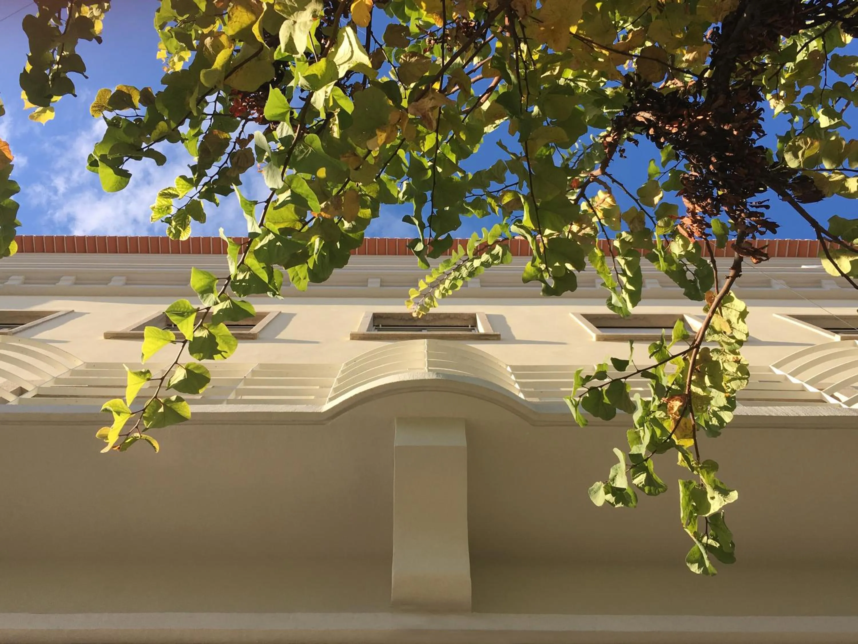 CASA 92 - OS LUGARES DE CASTRALEUCA