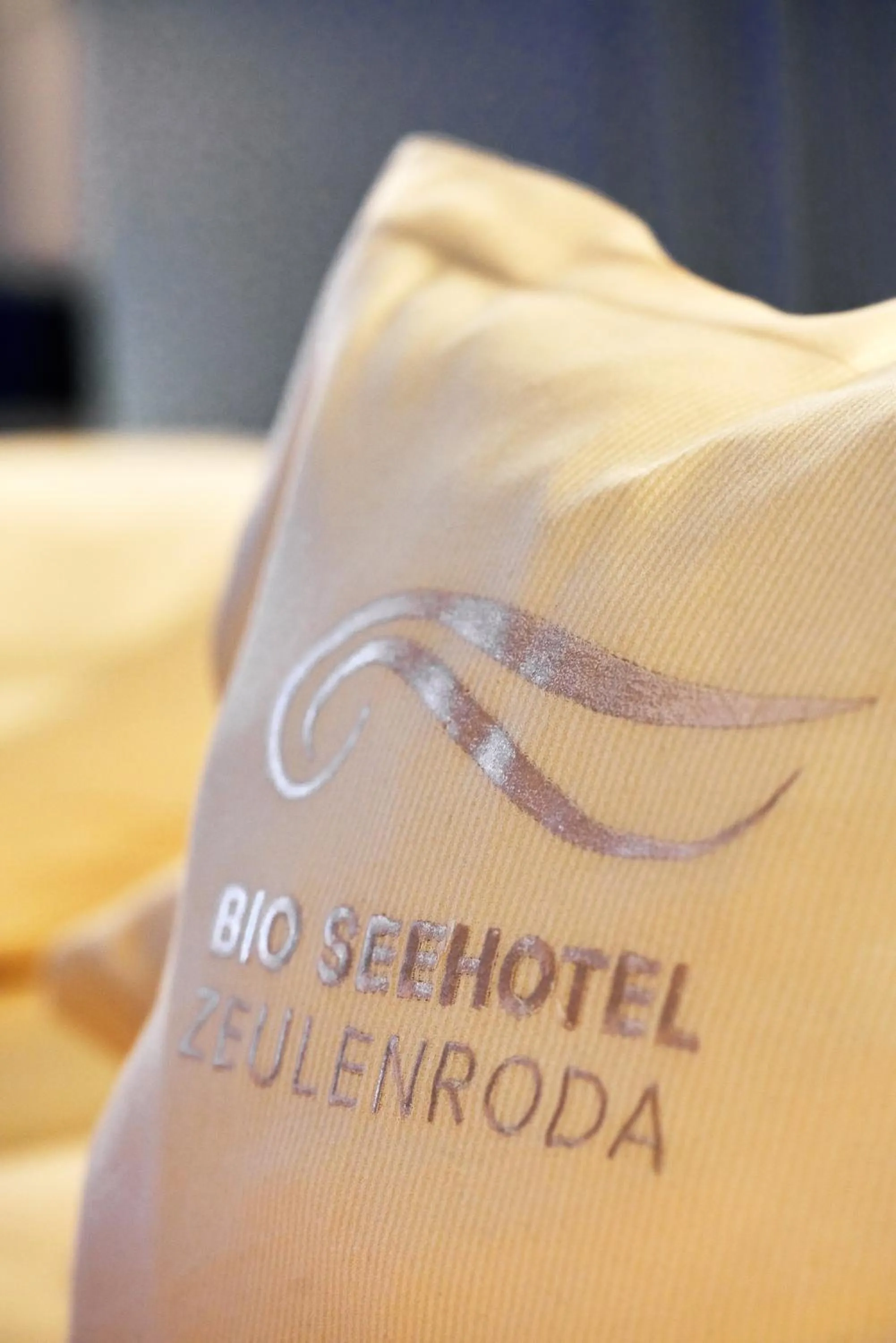 Logo/Certificate/Sign, Bed in Bio-Seehotel Zeulenroda