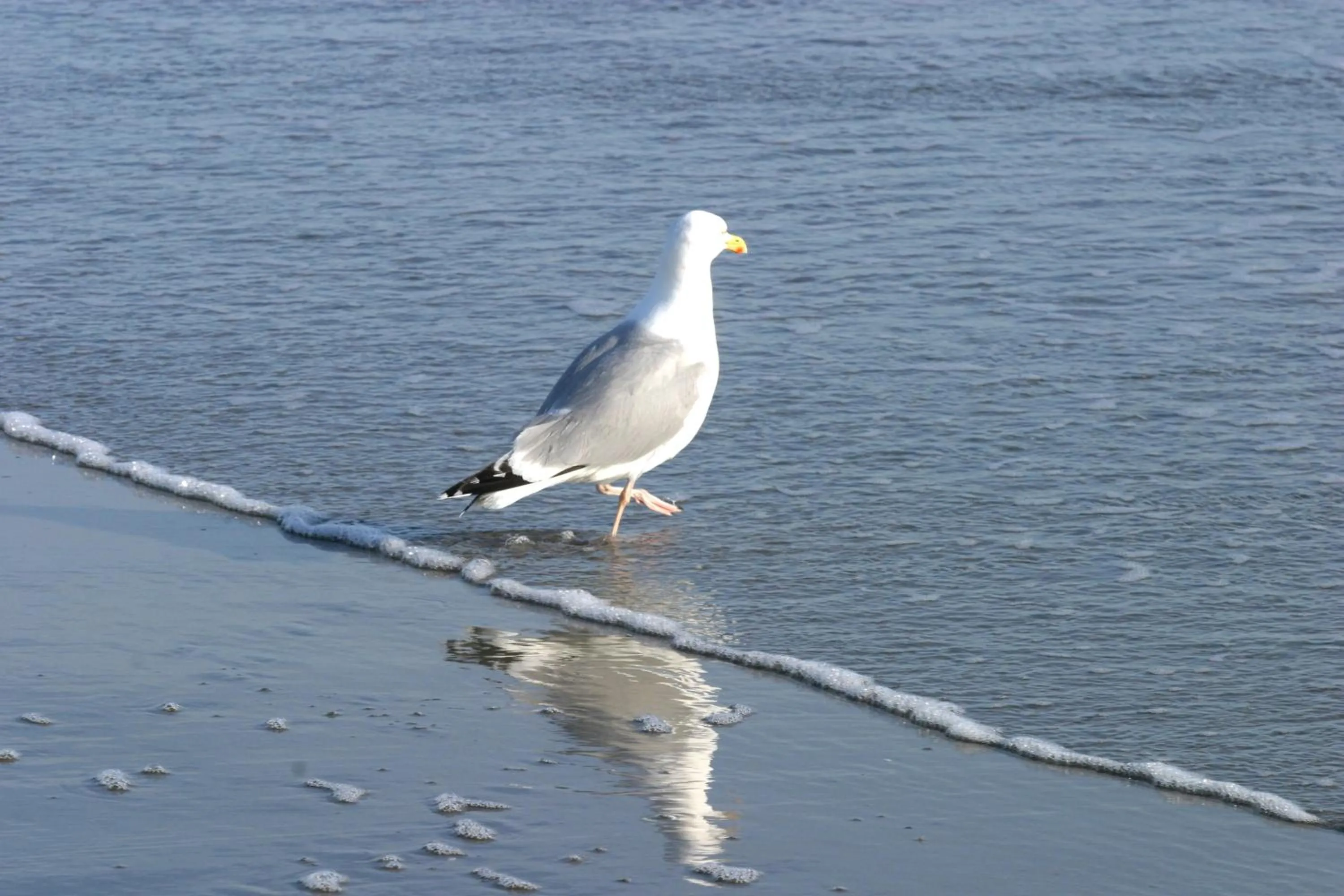 Beach in Hotel Villa Weststrand