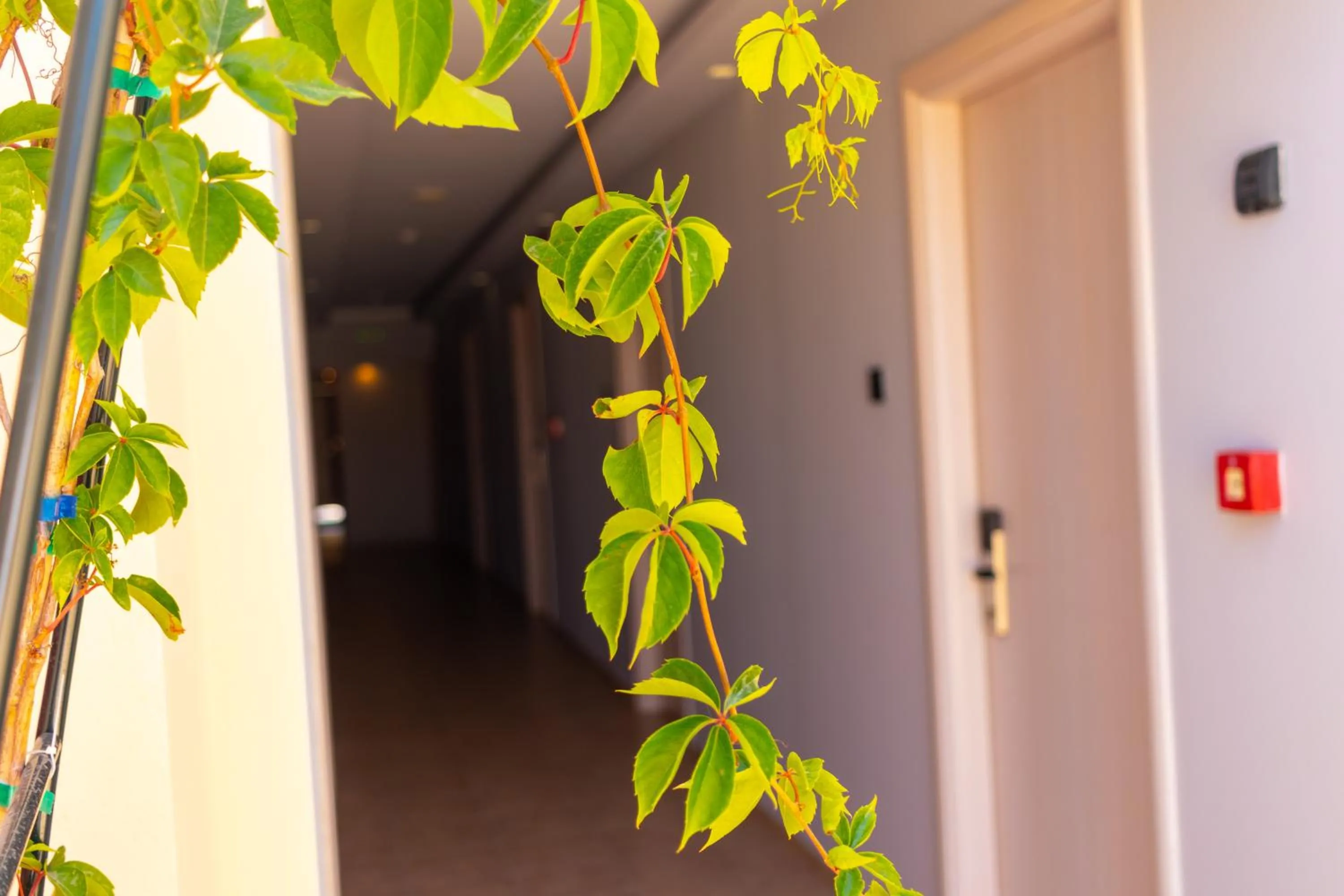 Alexander The Great Hotel